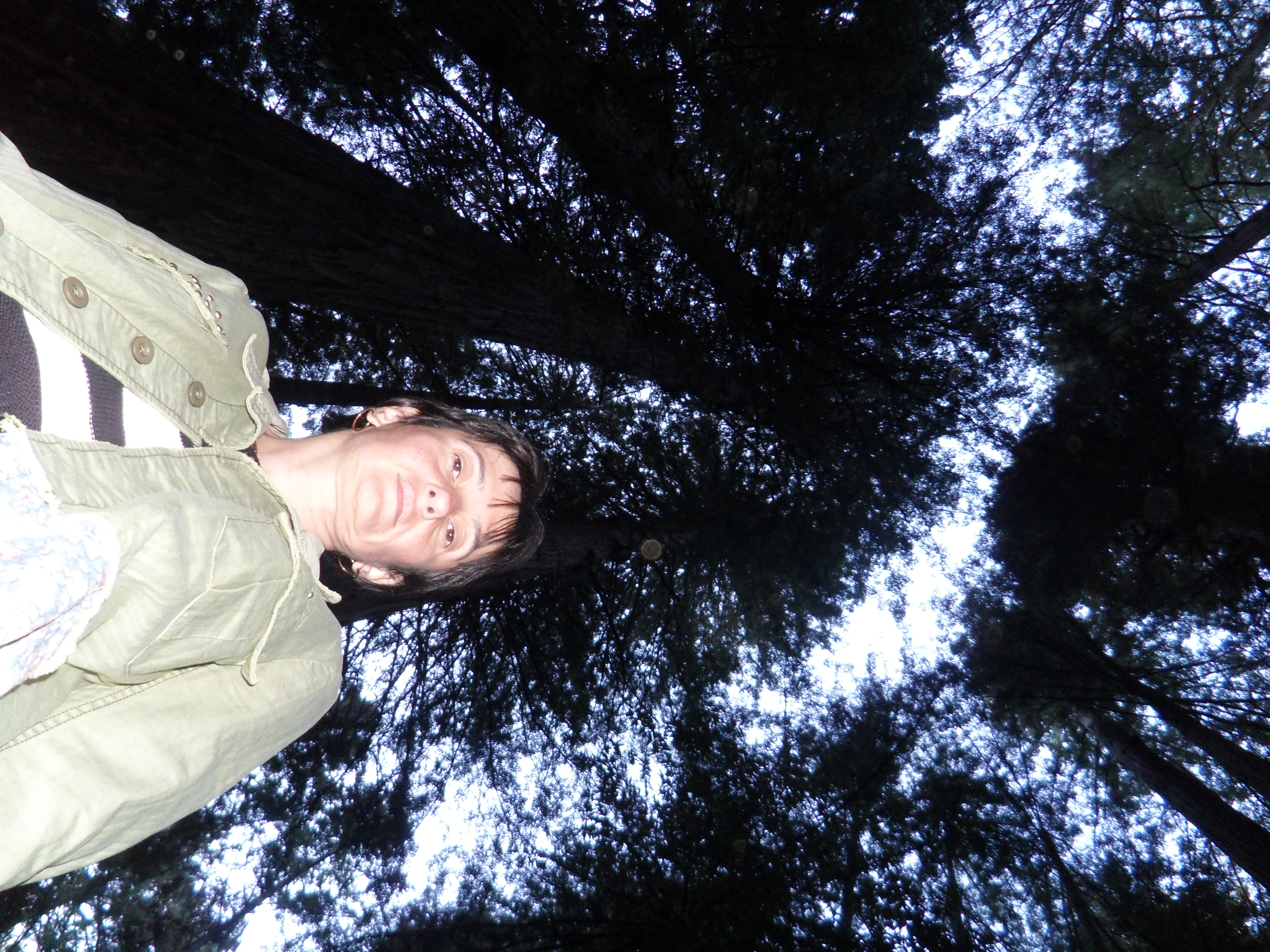 SAM_1230.JPG