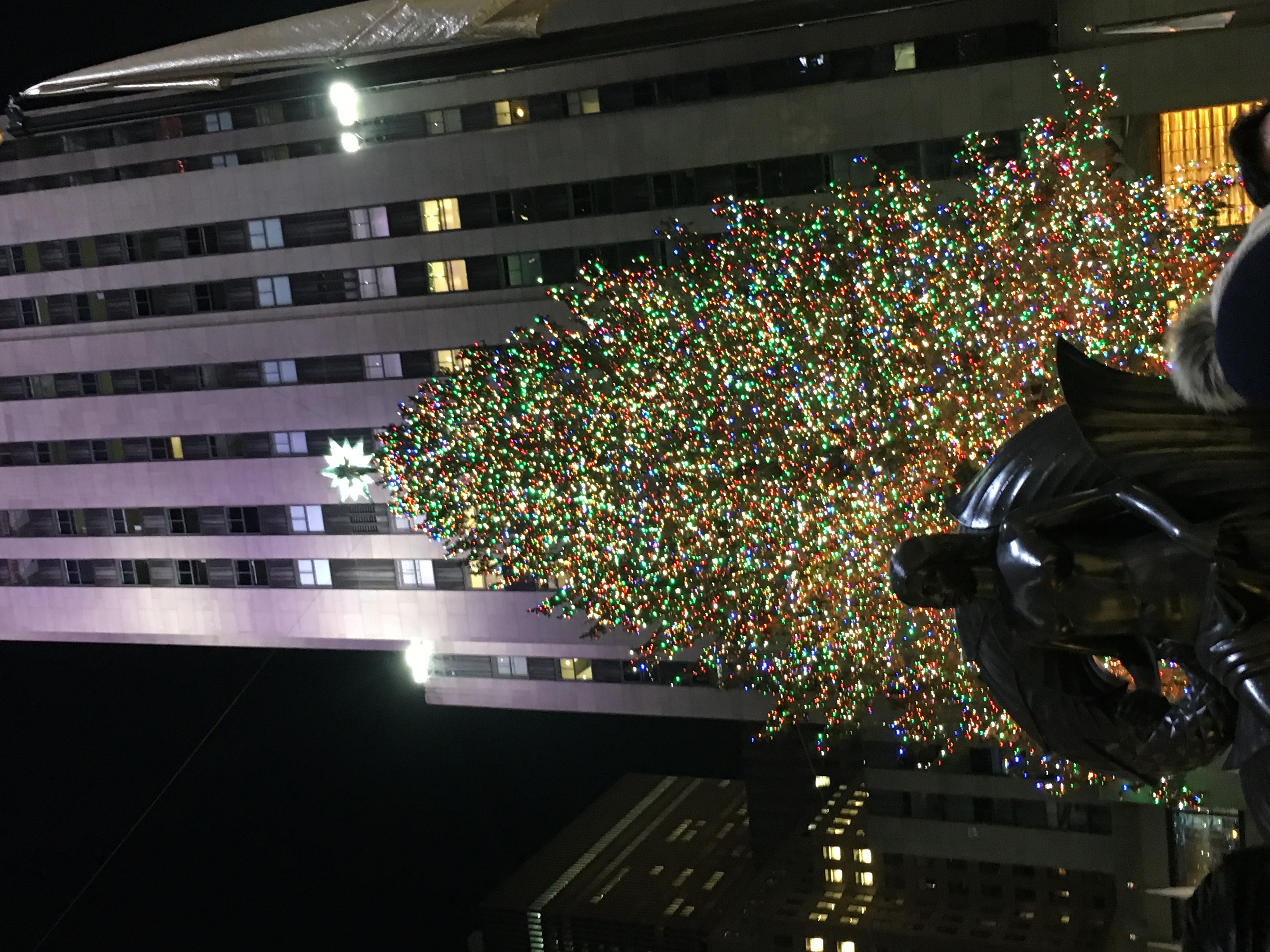 2016-12-30_19-09-49_641.jpeg