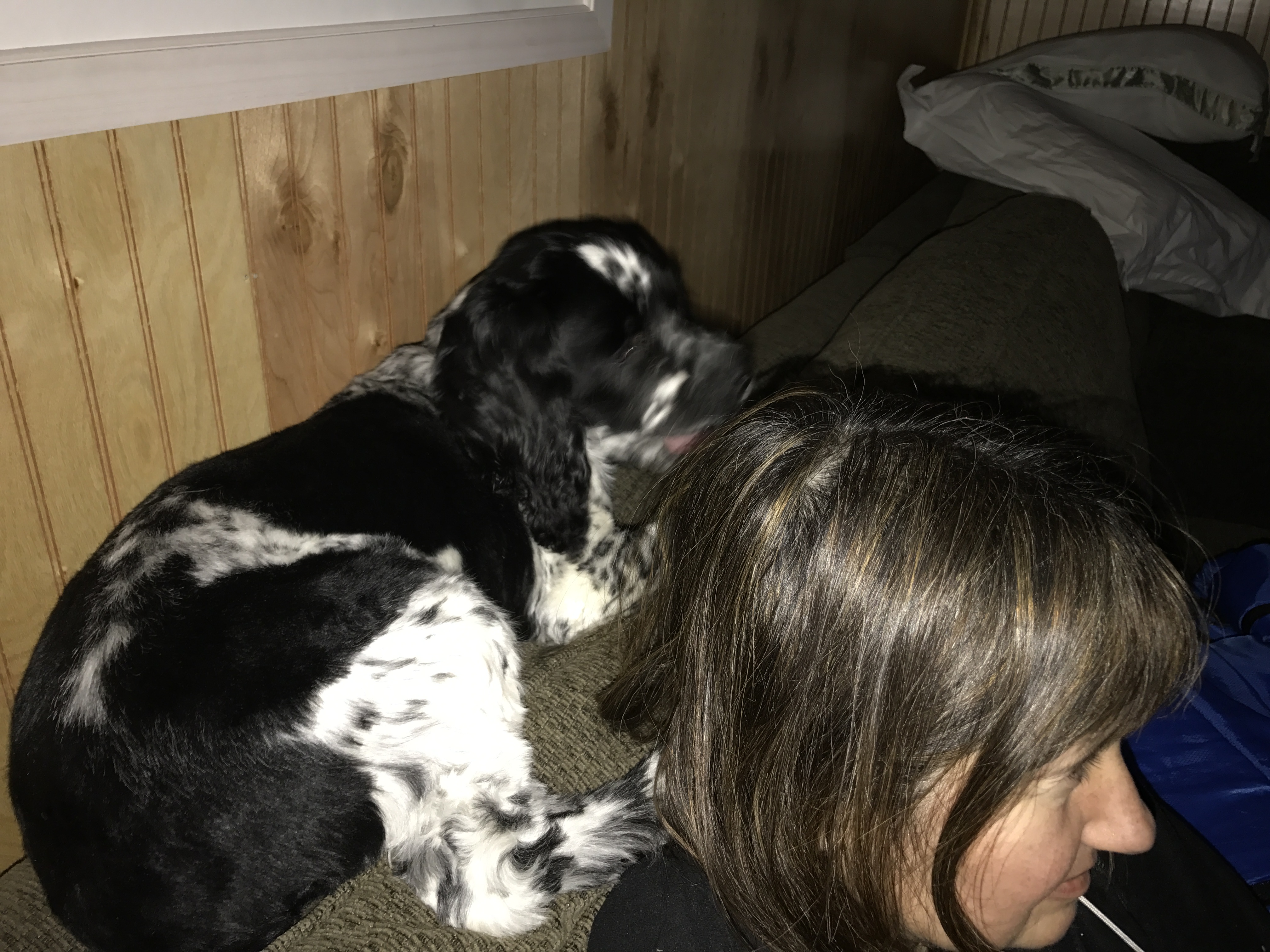 2016-12-31_16-16-46_146.jpeg