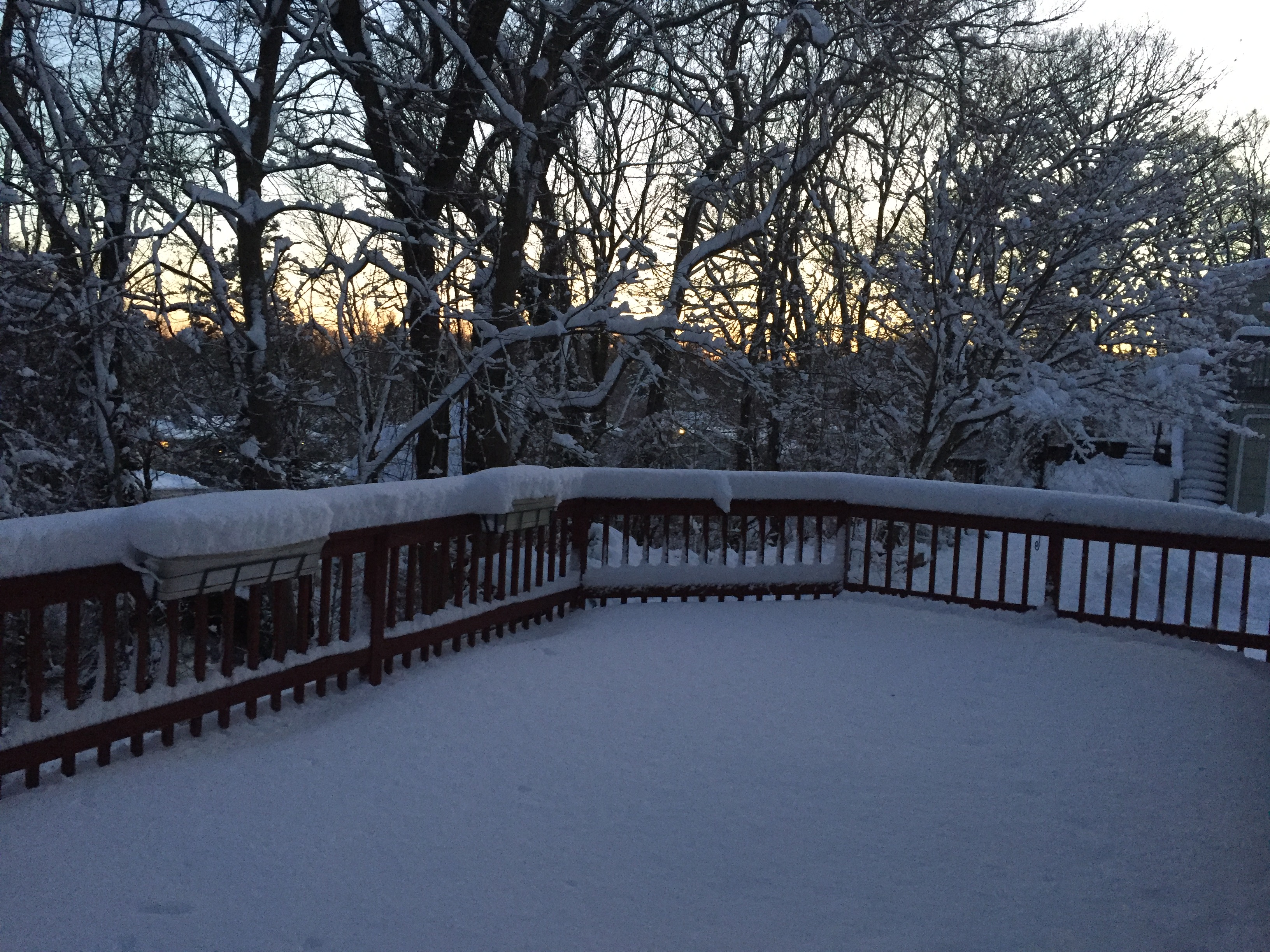 February 2016