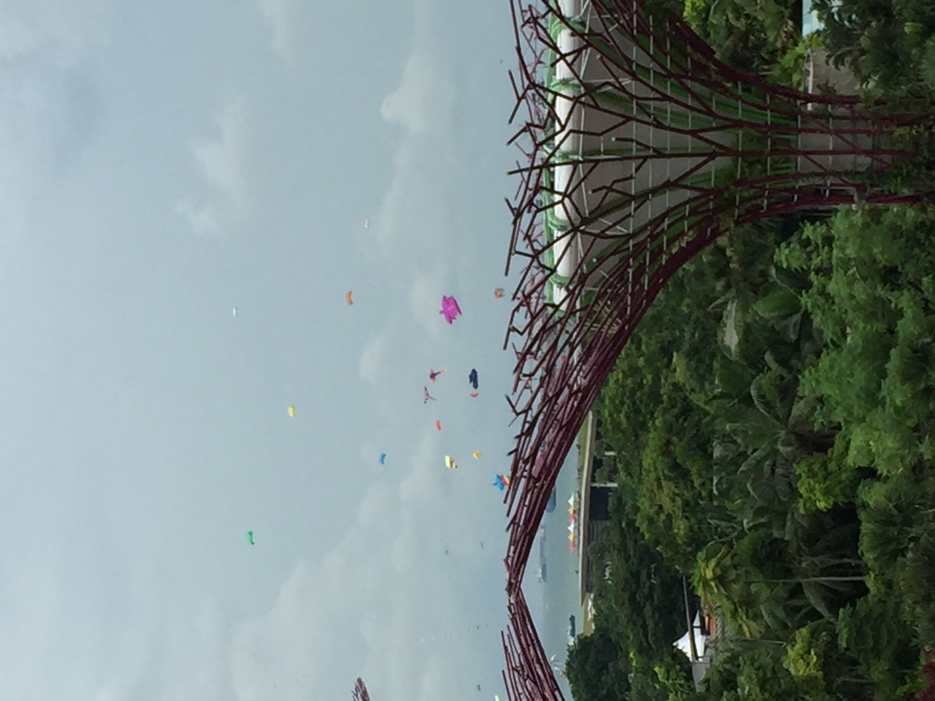 2016-07-23_03-58-52_683.jpeg
