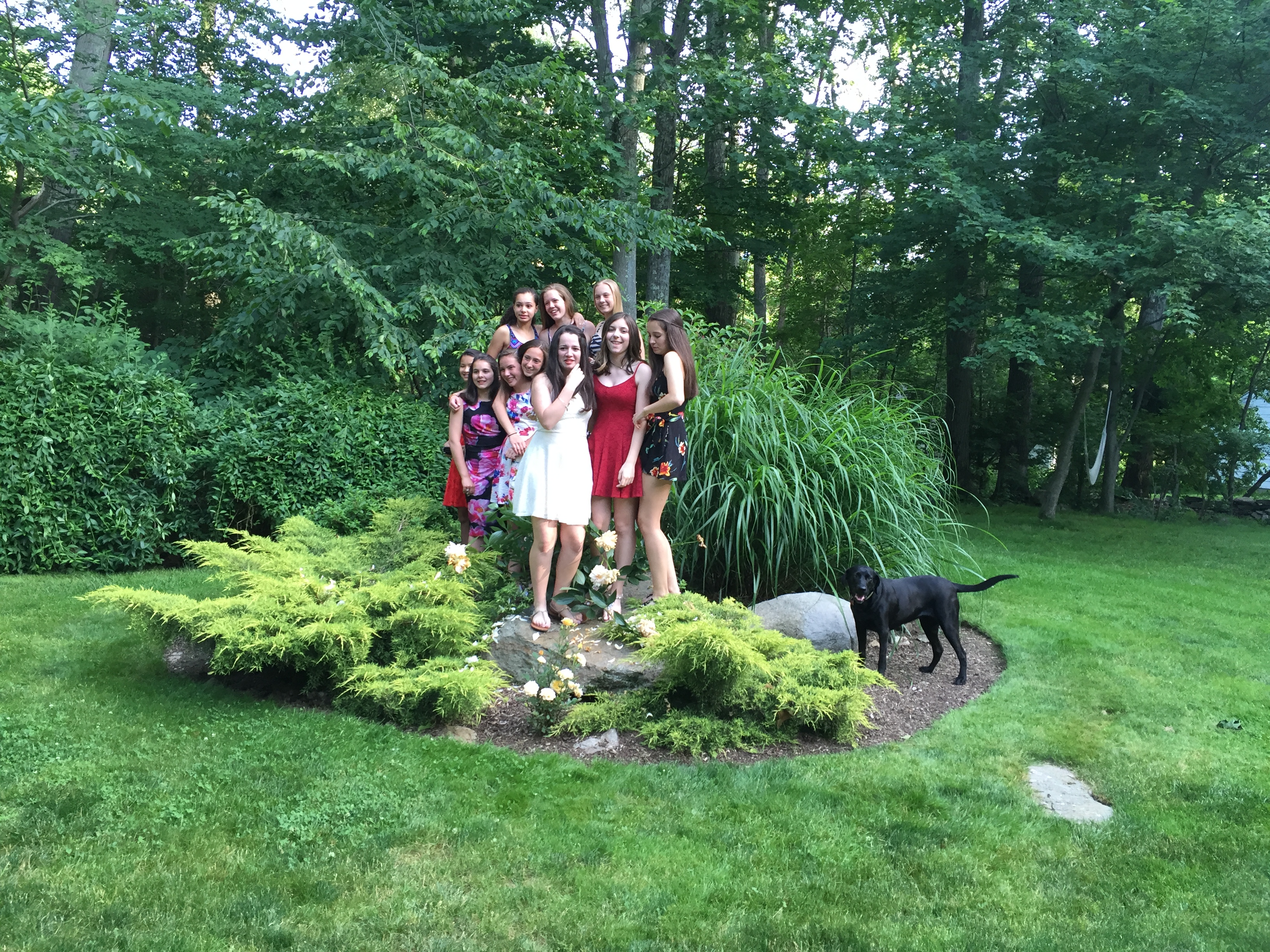 2016-06-15_18-27-28_881.jpeg