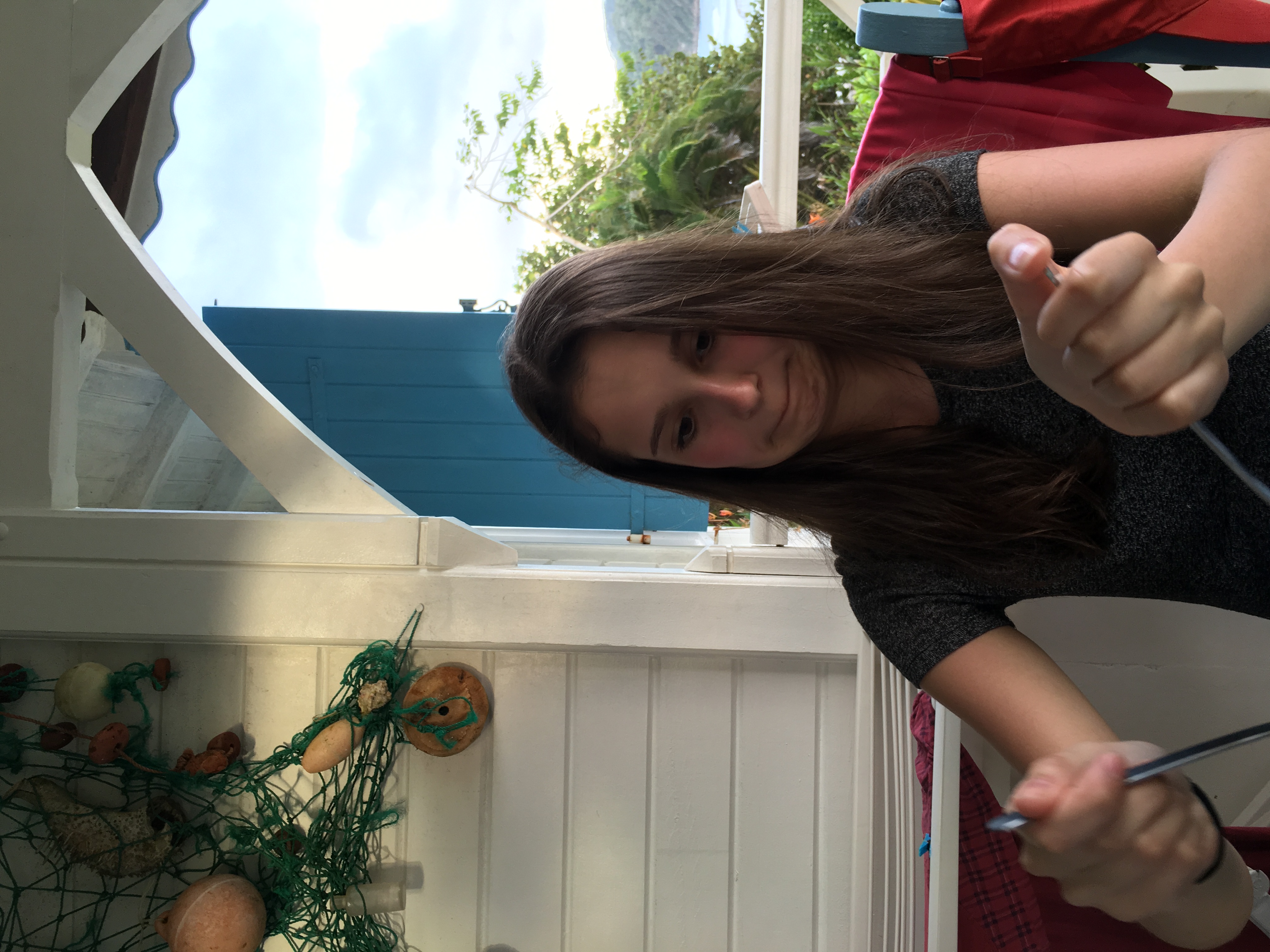 2016-03-29_17-30-52_166.jpeg