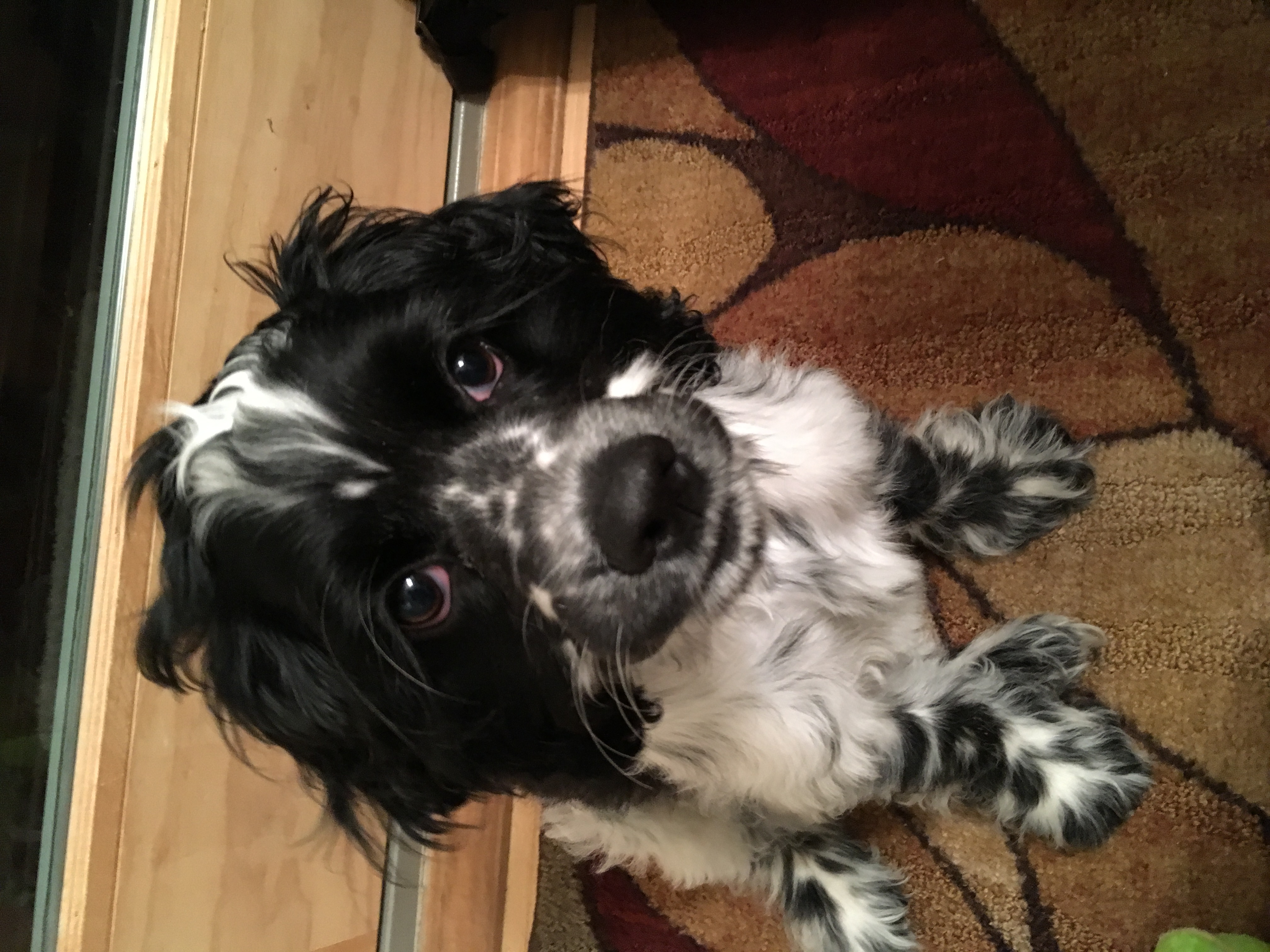 2016-11-09_21-21-54_143.jpeg
