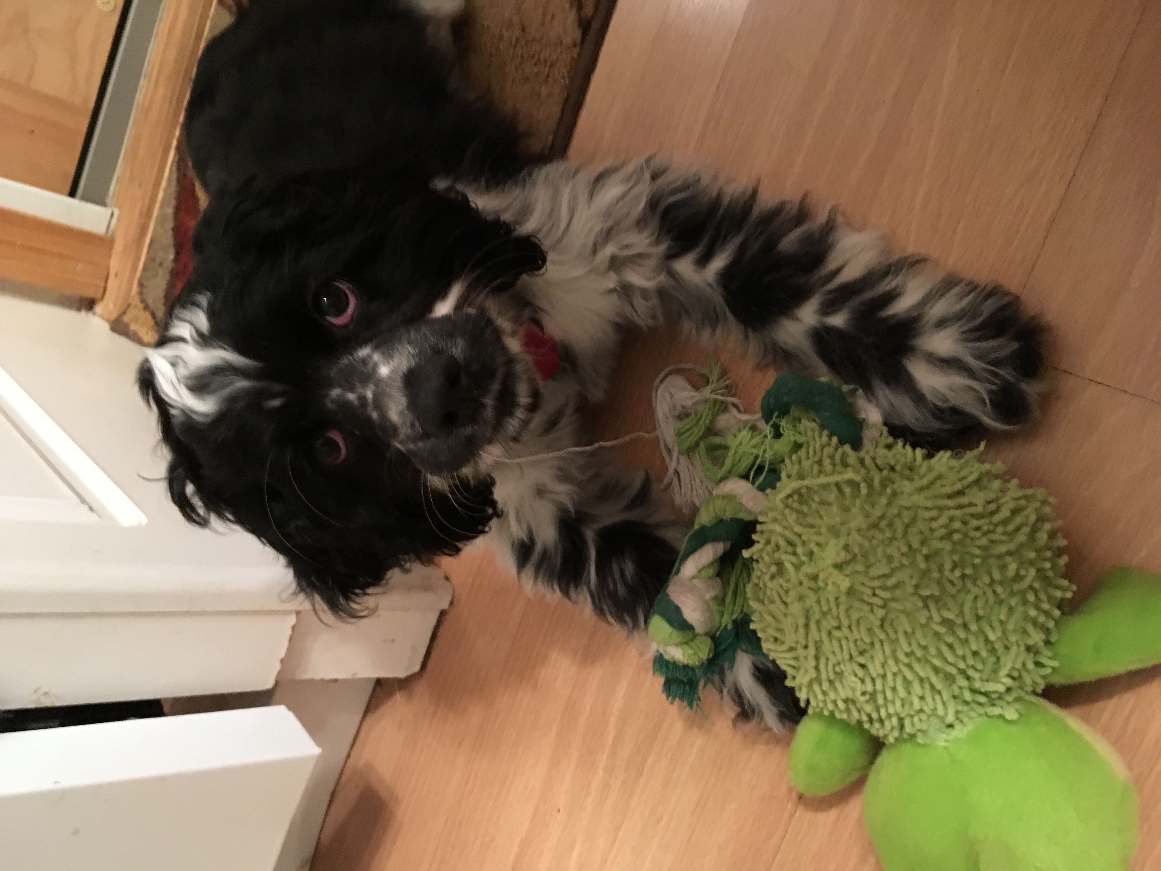 2016-11-16_19-09-05_943.jpeg