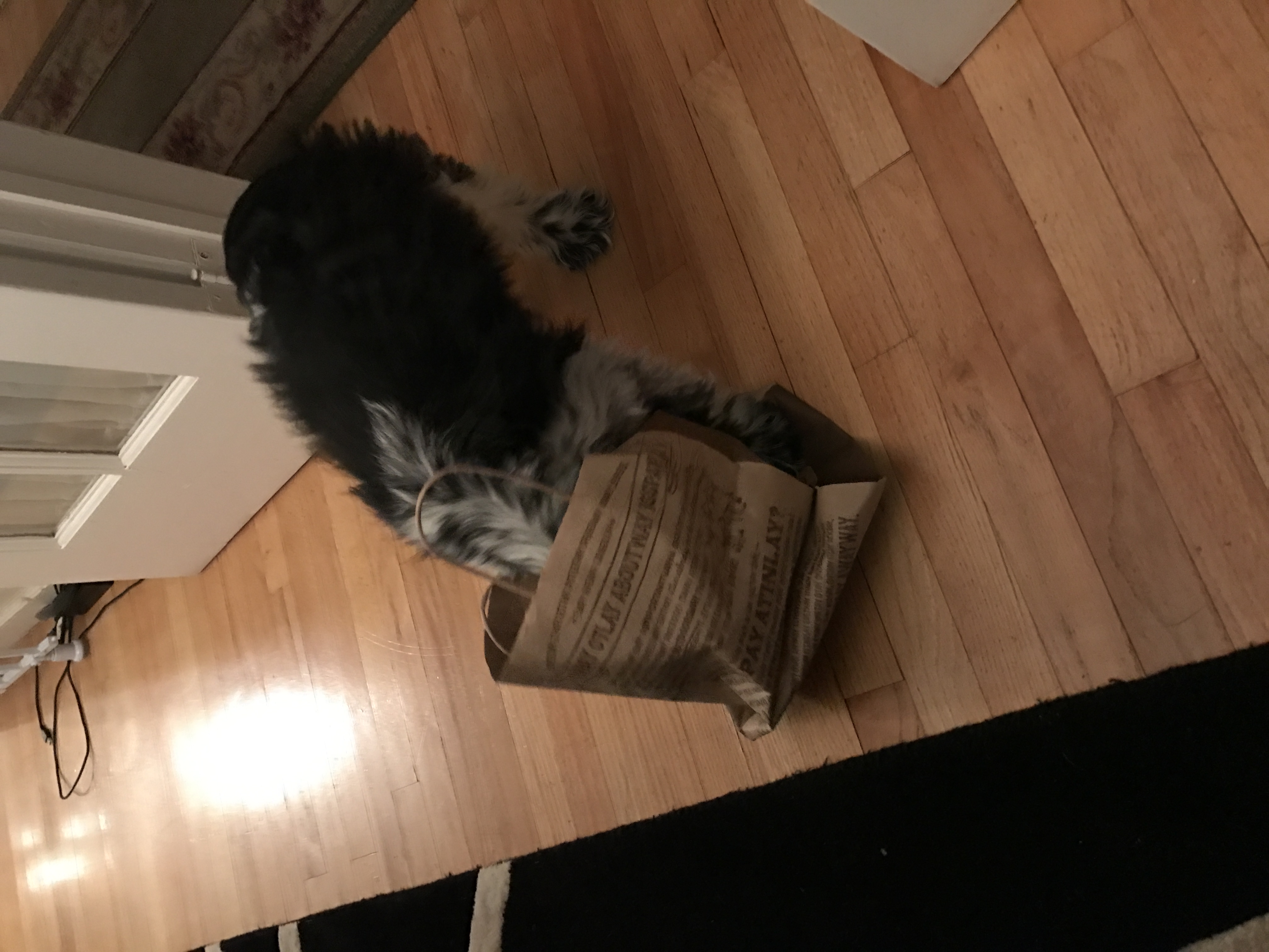 2016-11-23_19-29-57_133.jpeg