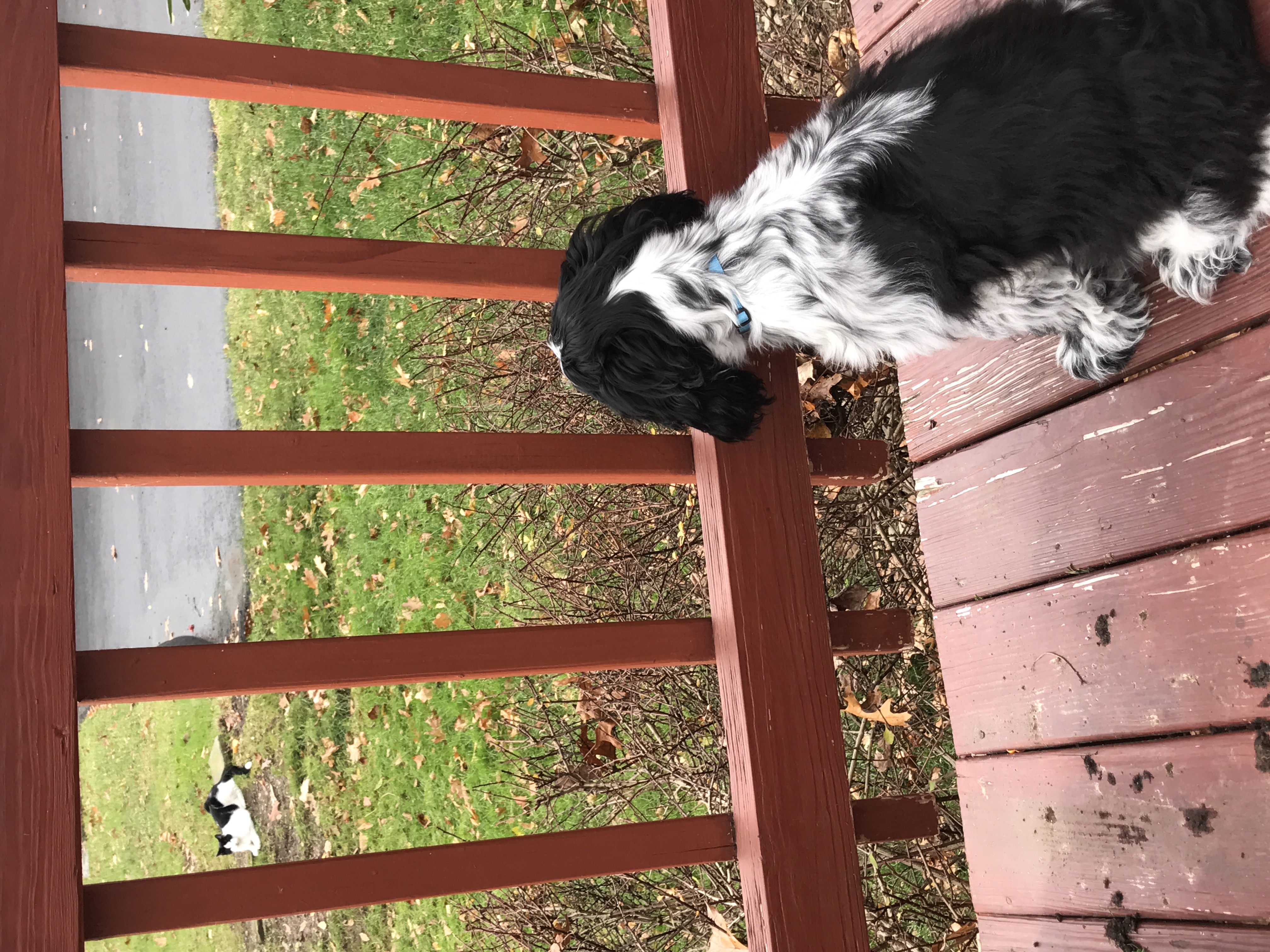2016-11-25_11-17-10_592.jpeg