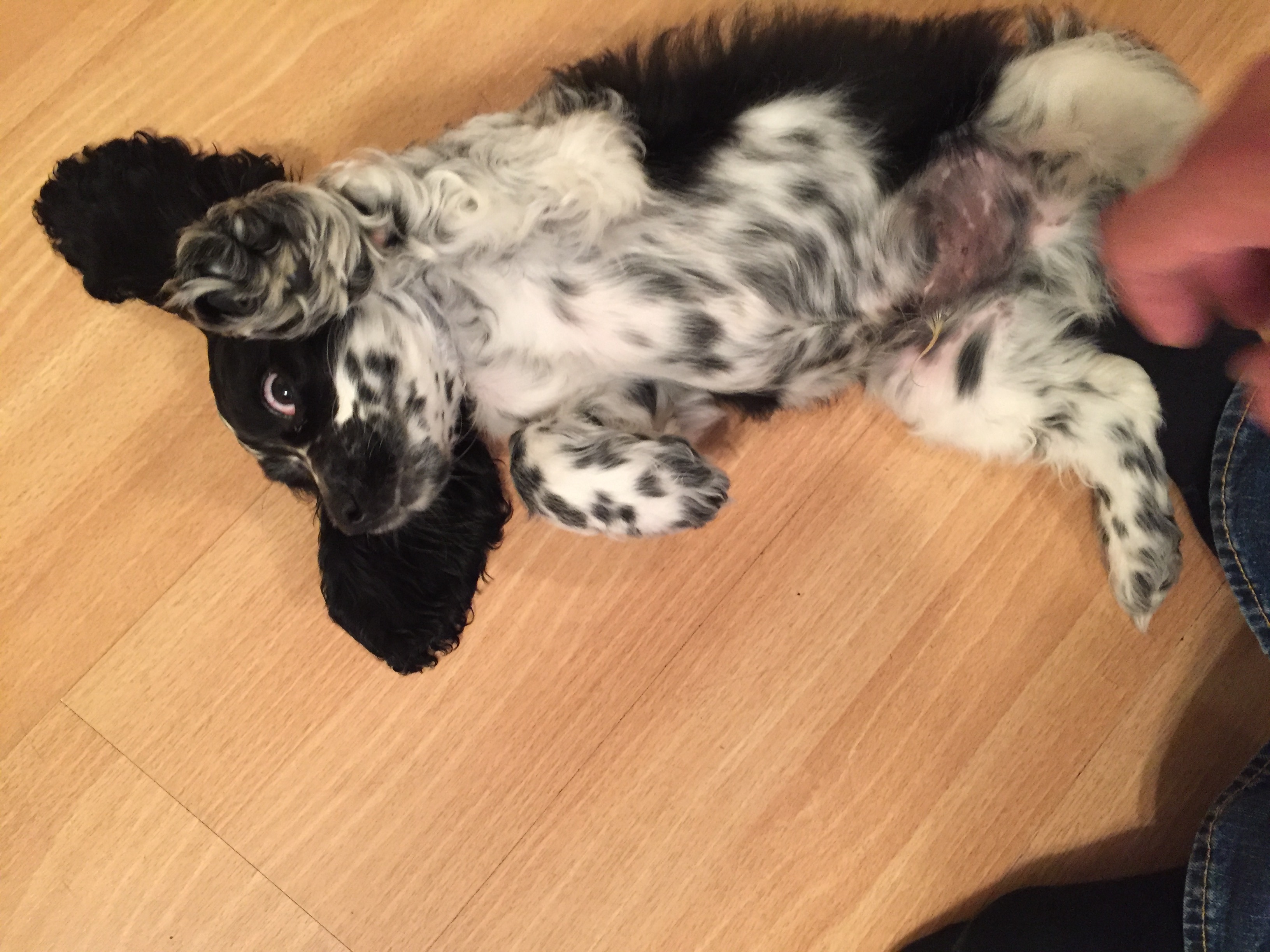 2016-10-10_18-08-15_851.jpeg