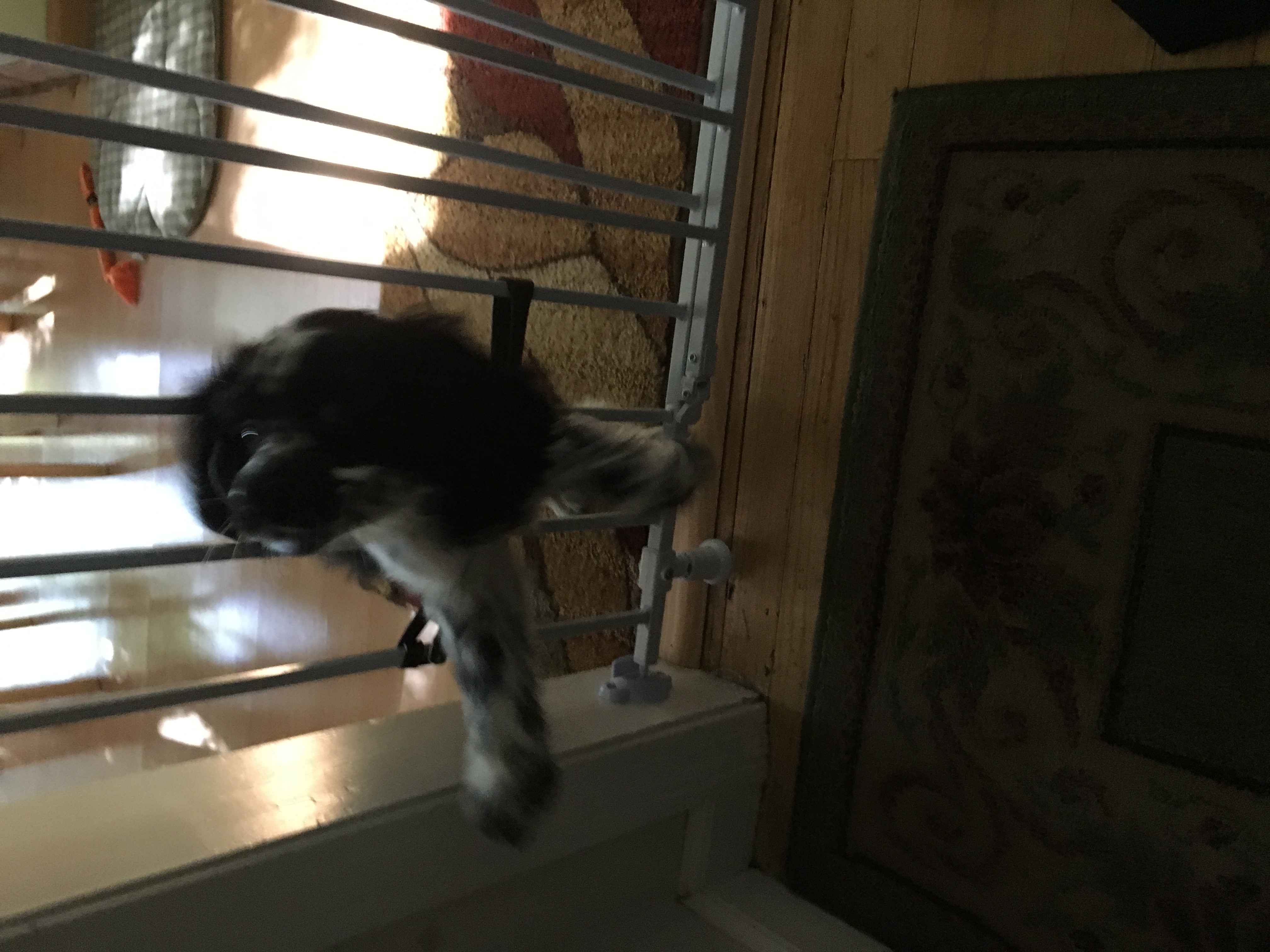 2016-10-12_10-02-37_633.jpeg