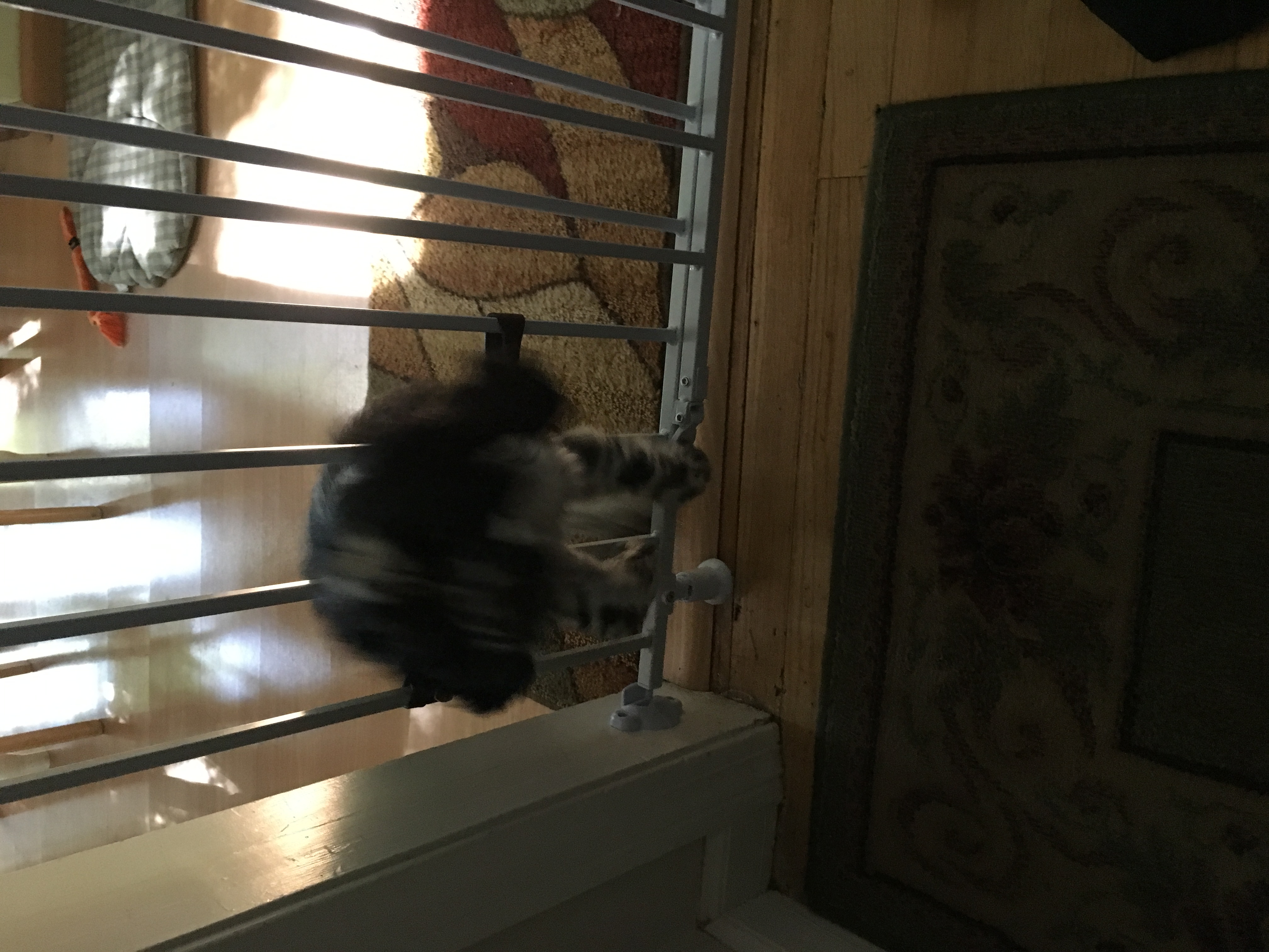 2016-10-12_10-02-39_333.jpeg