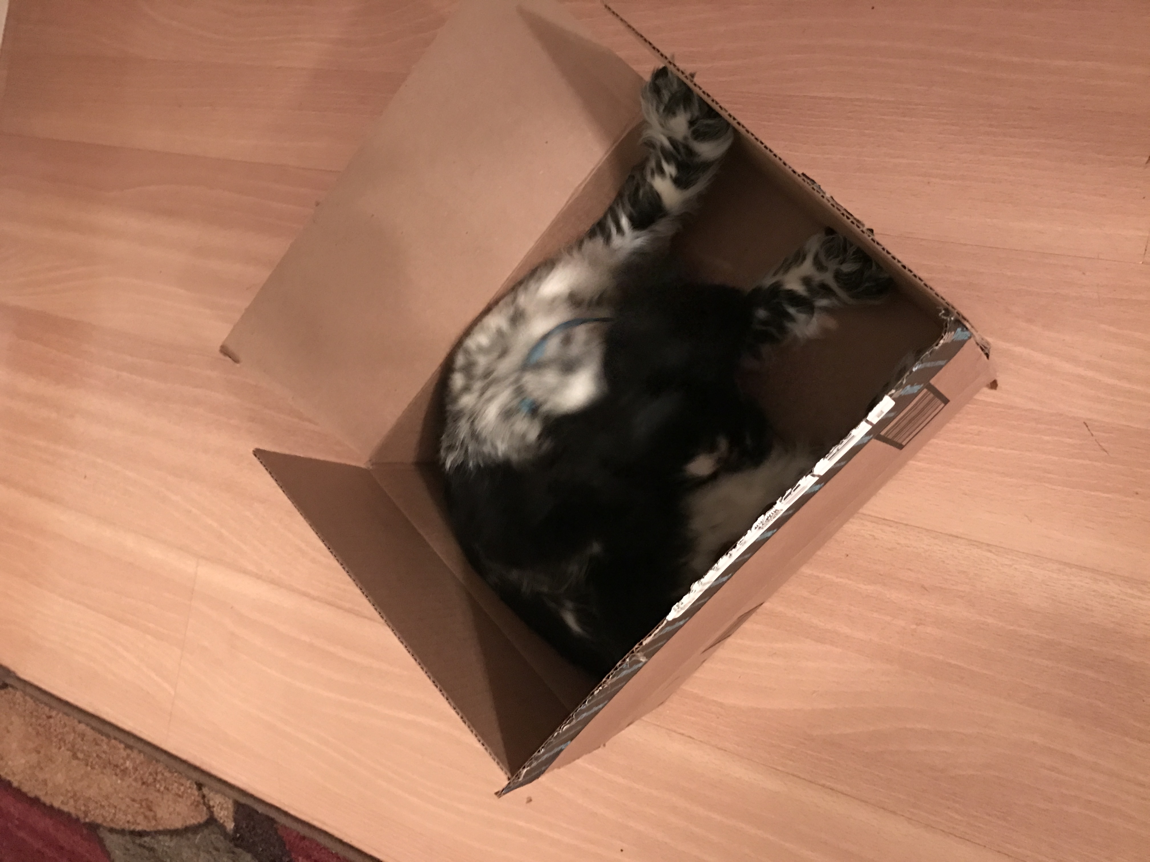 2016-10-19_21-15-27_849.jpeg