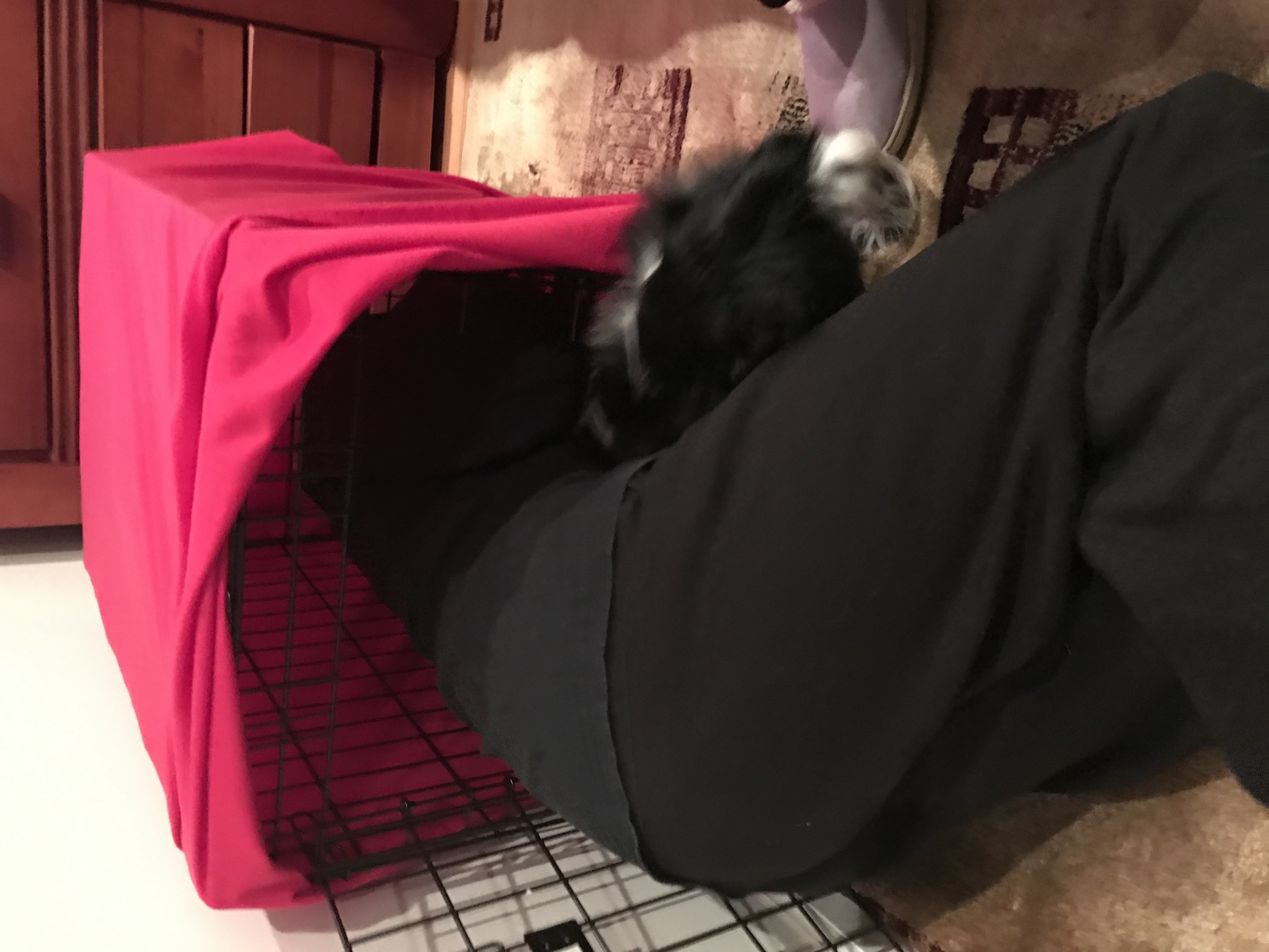 2016-10-22_21-25-12_946.jpeg
