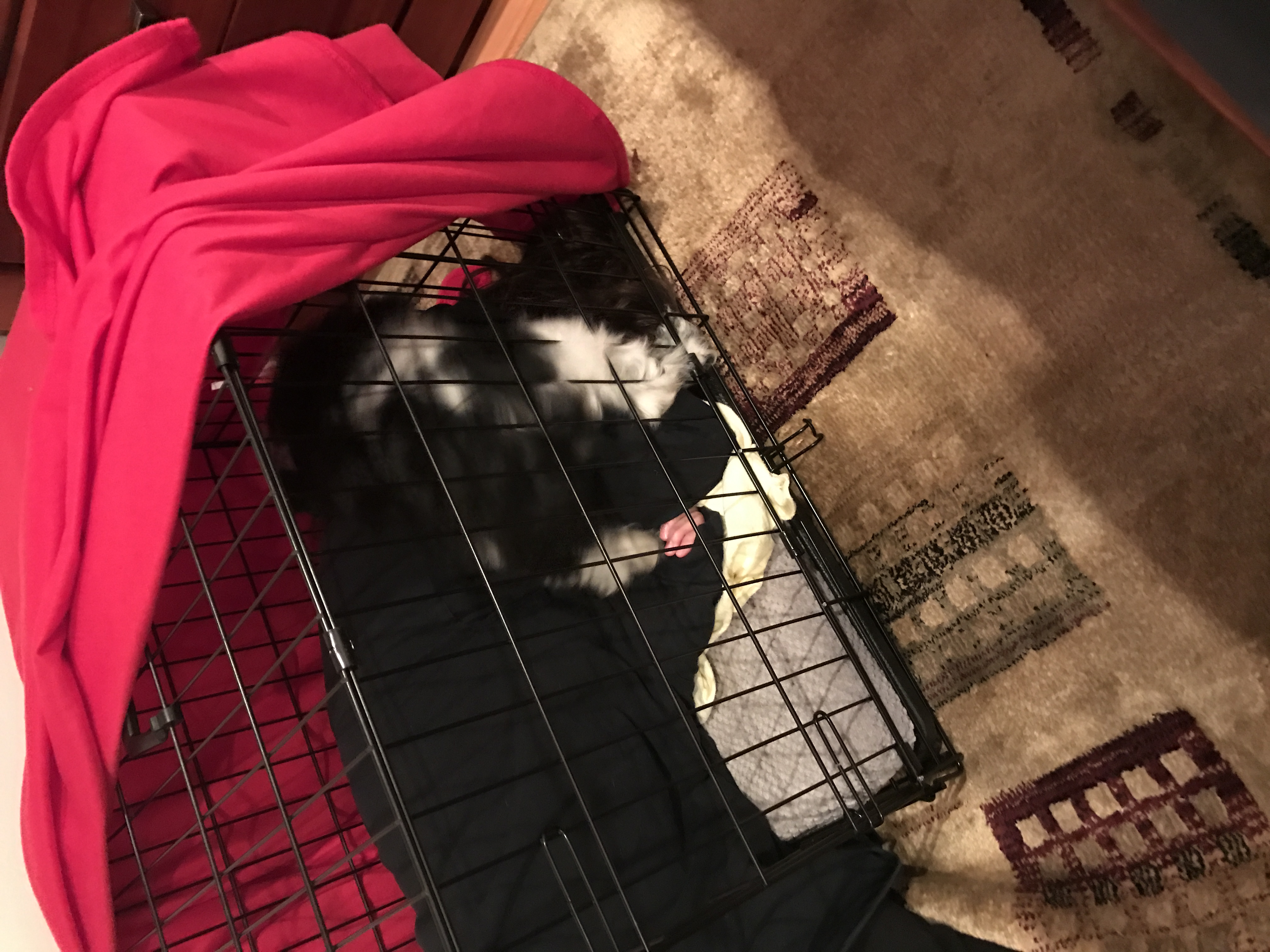 2016-10-22_21-25-30_370.jpeg