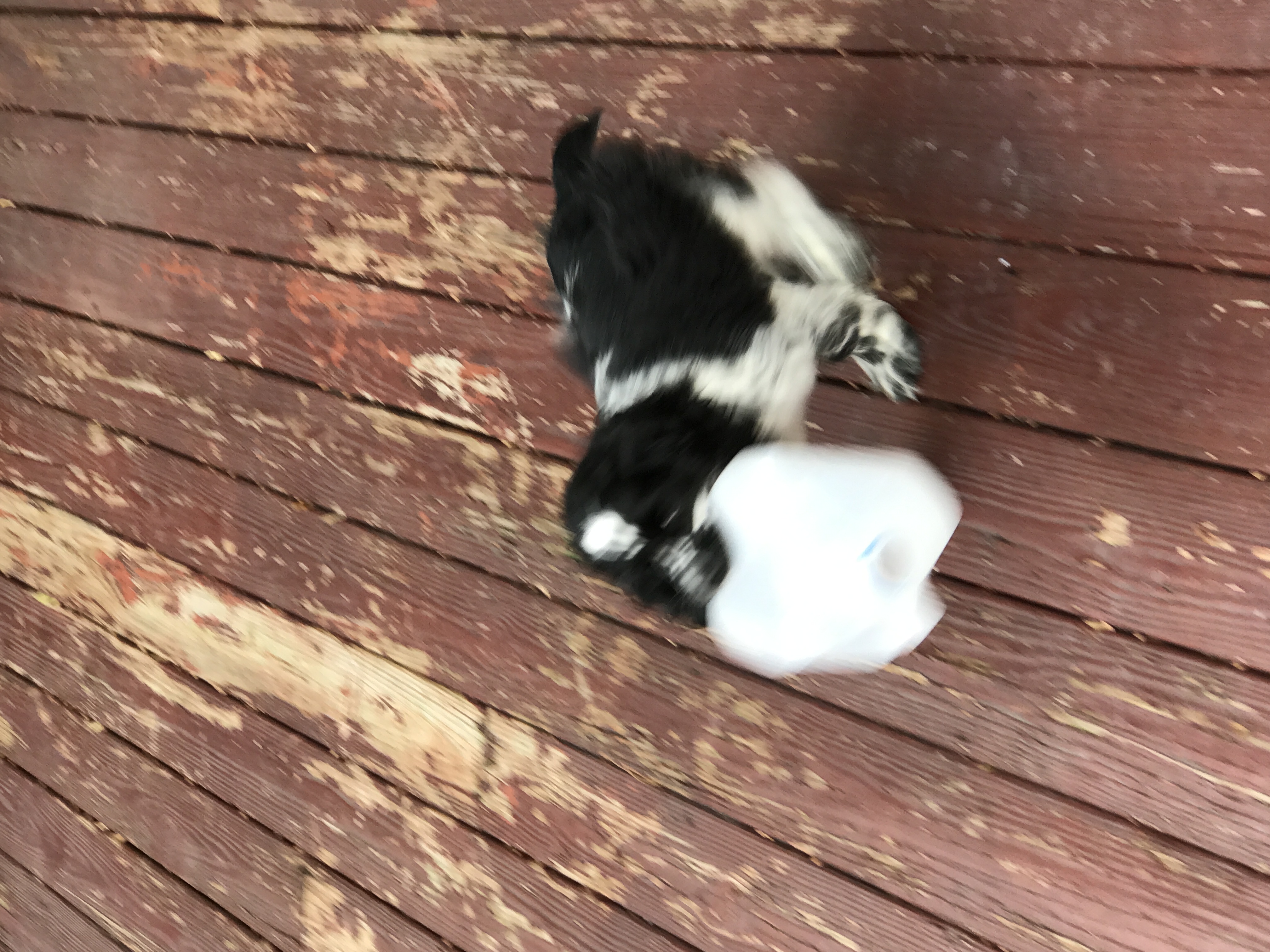 2016-10-23_15-19-44_135.jpeg