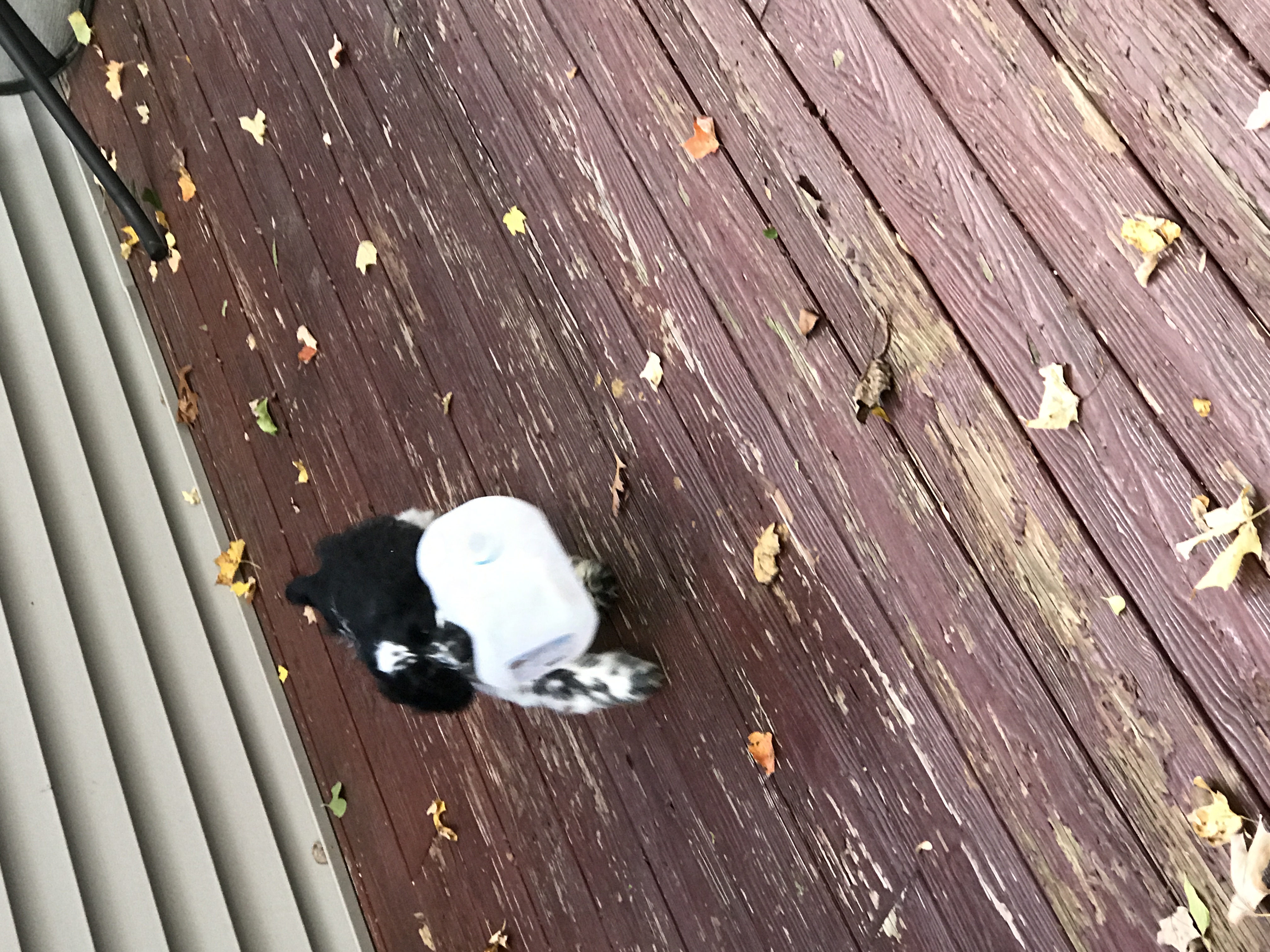 2016-10-23_15-20-07_857.jpeg