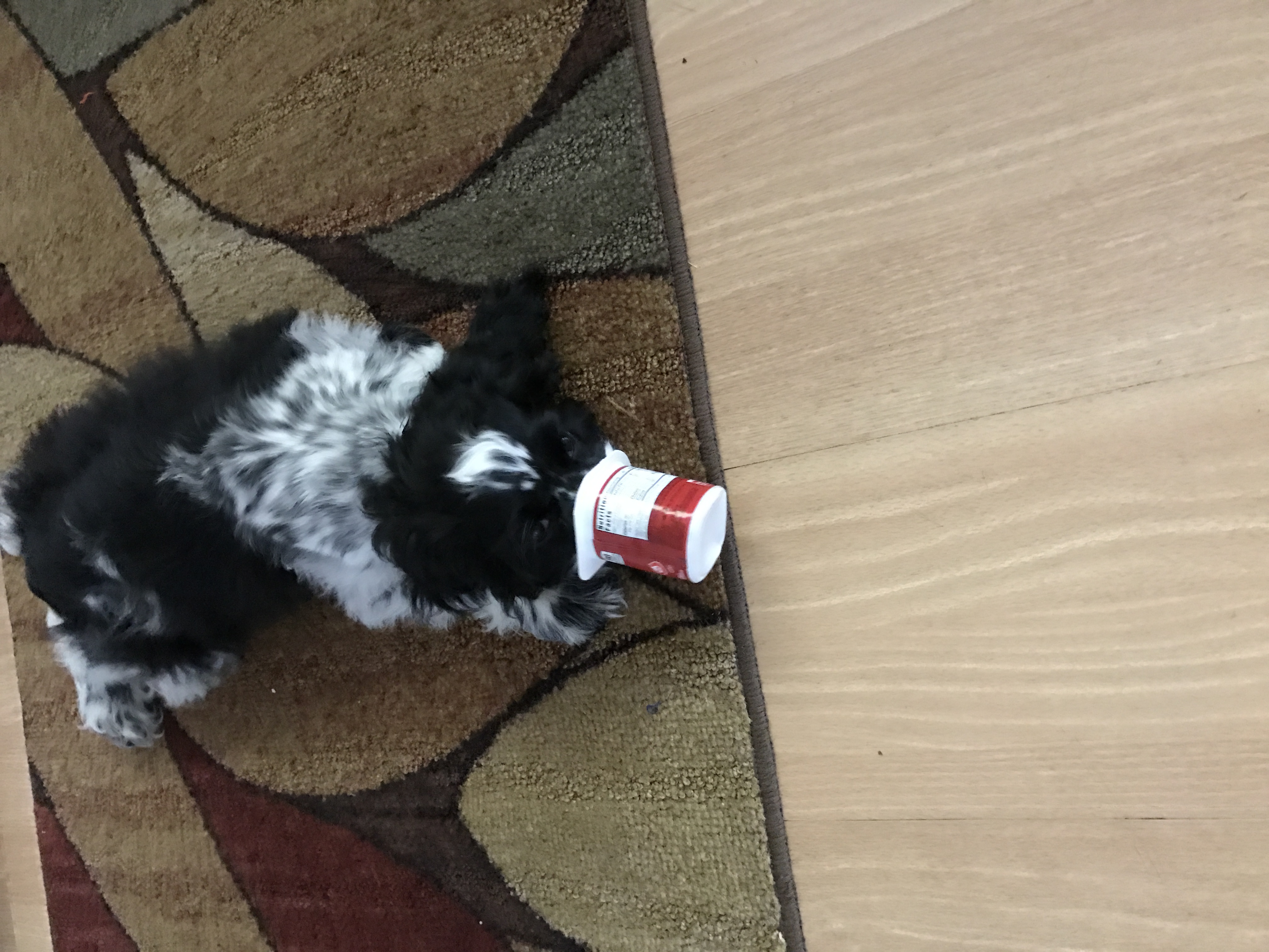 2016-10-23_15-40-34_463.jpeg
