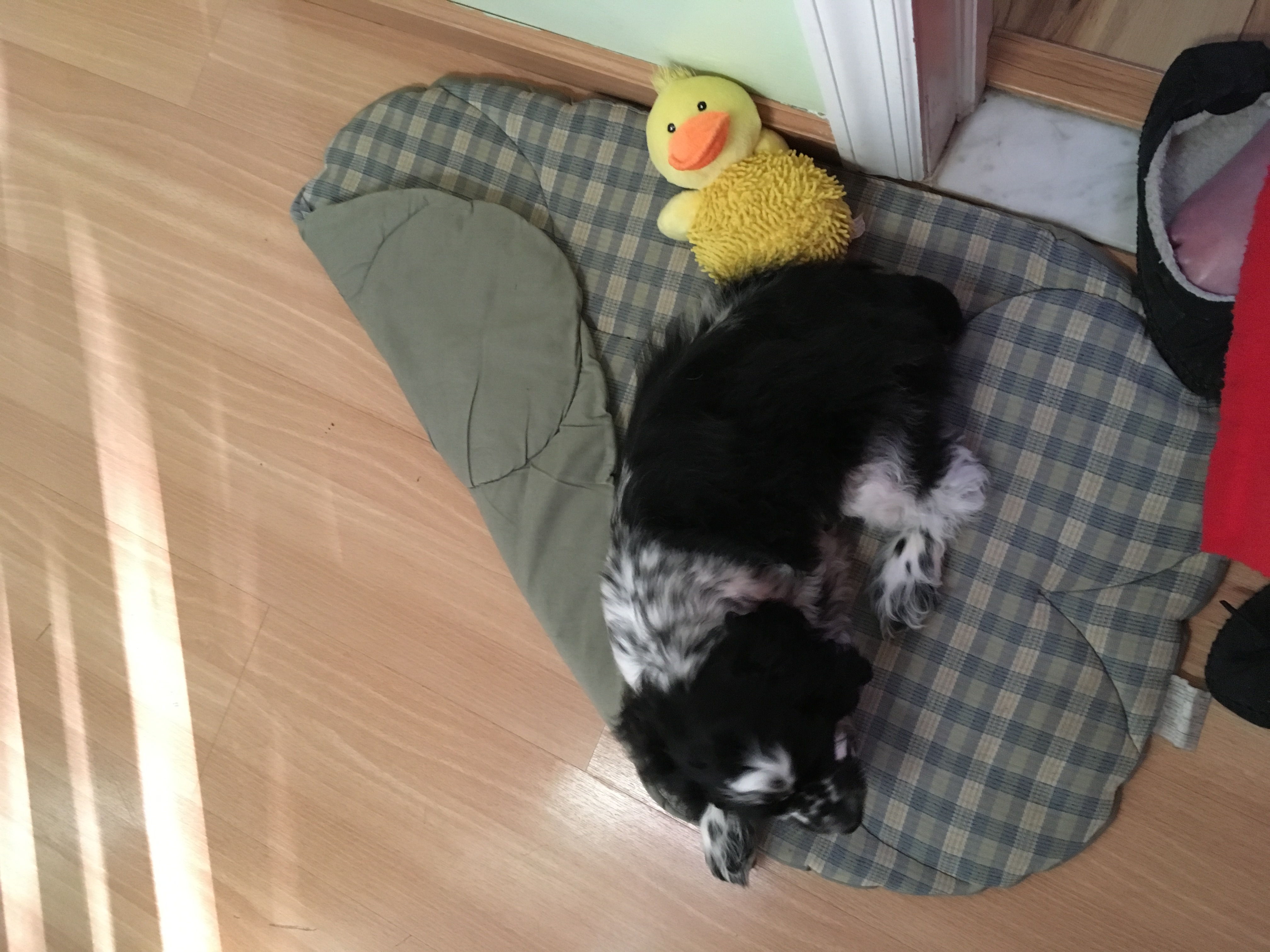 2016-10-26_08-08-02_768.jpeg