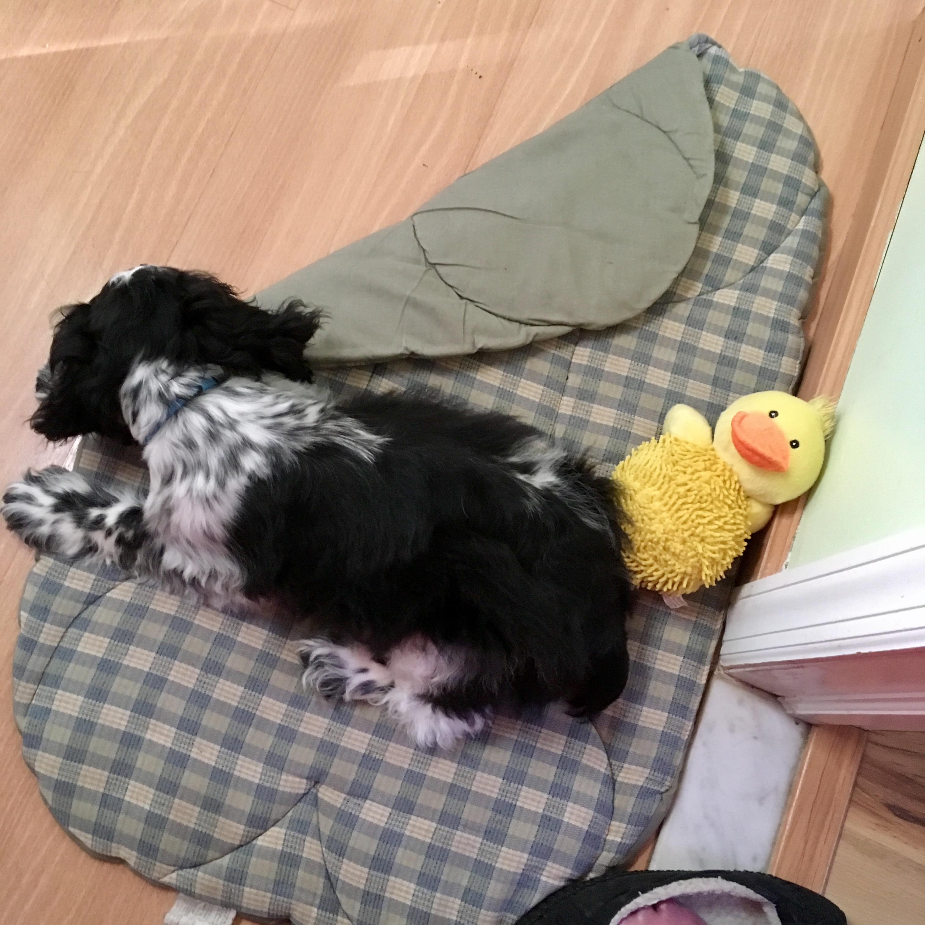 2016-10-26_08-08-33_567.jpeg