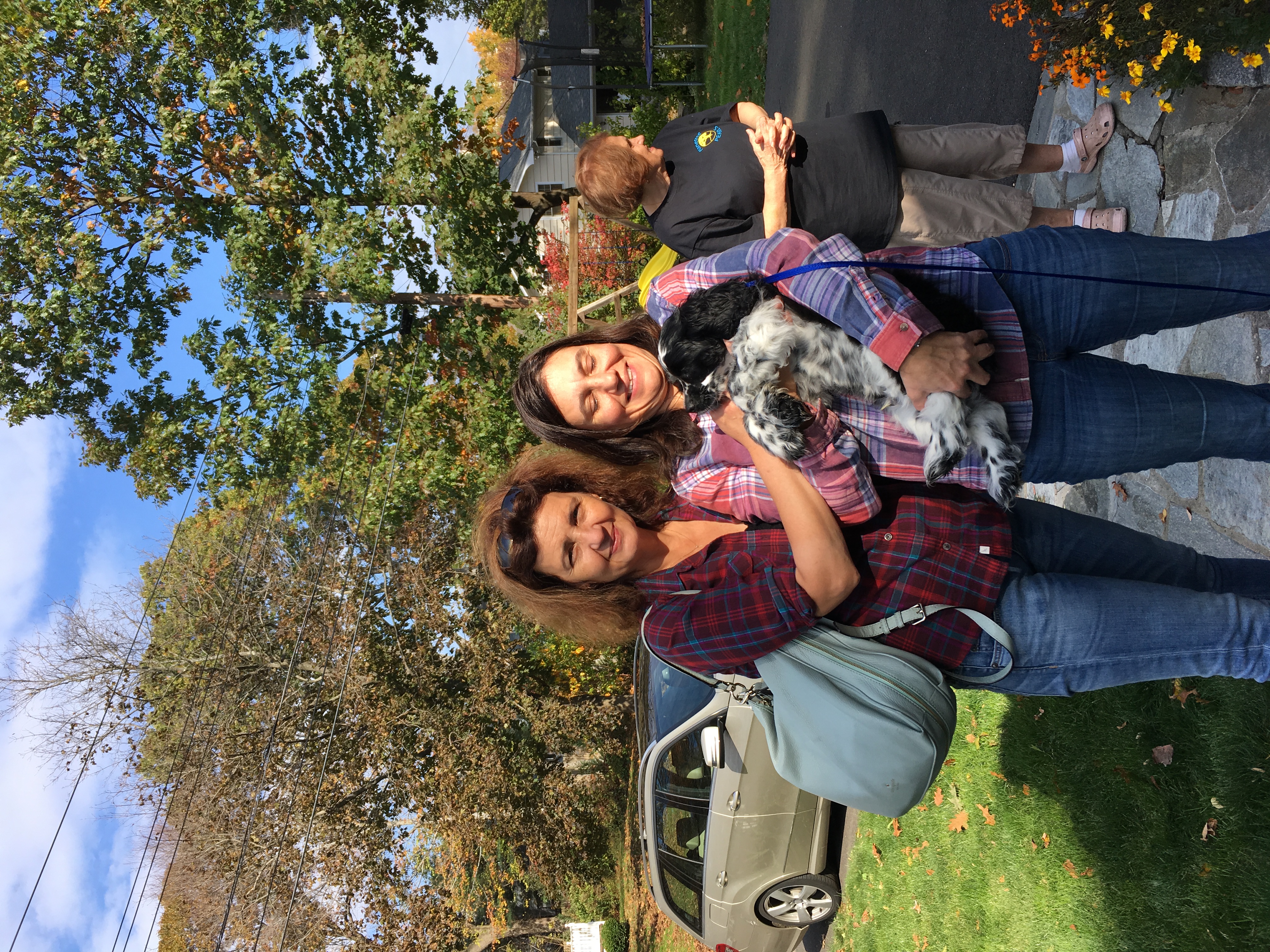 2016-10-30_12-05-53_917.jpeg