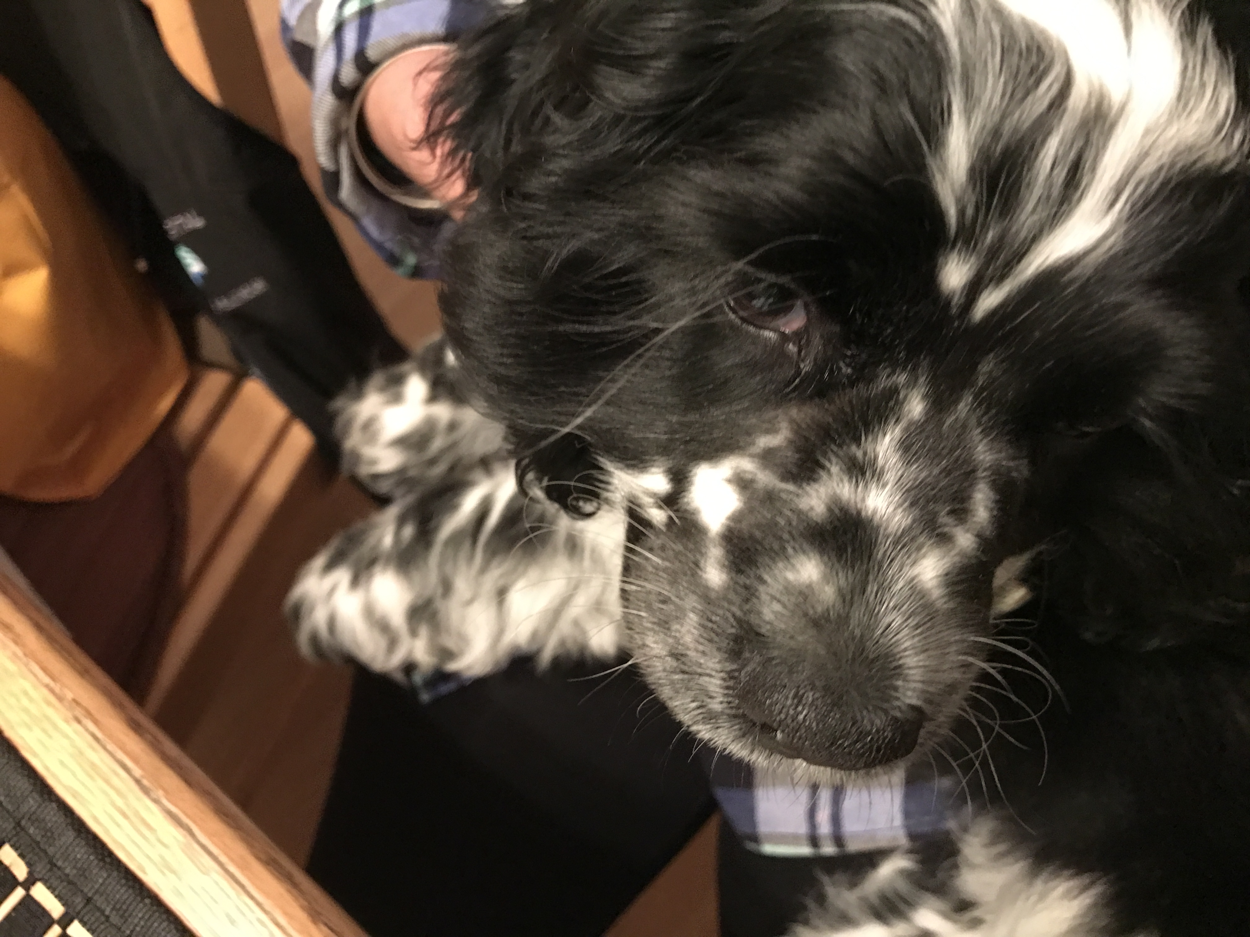 2016-10-30_19-23-12_876.jpeg
