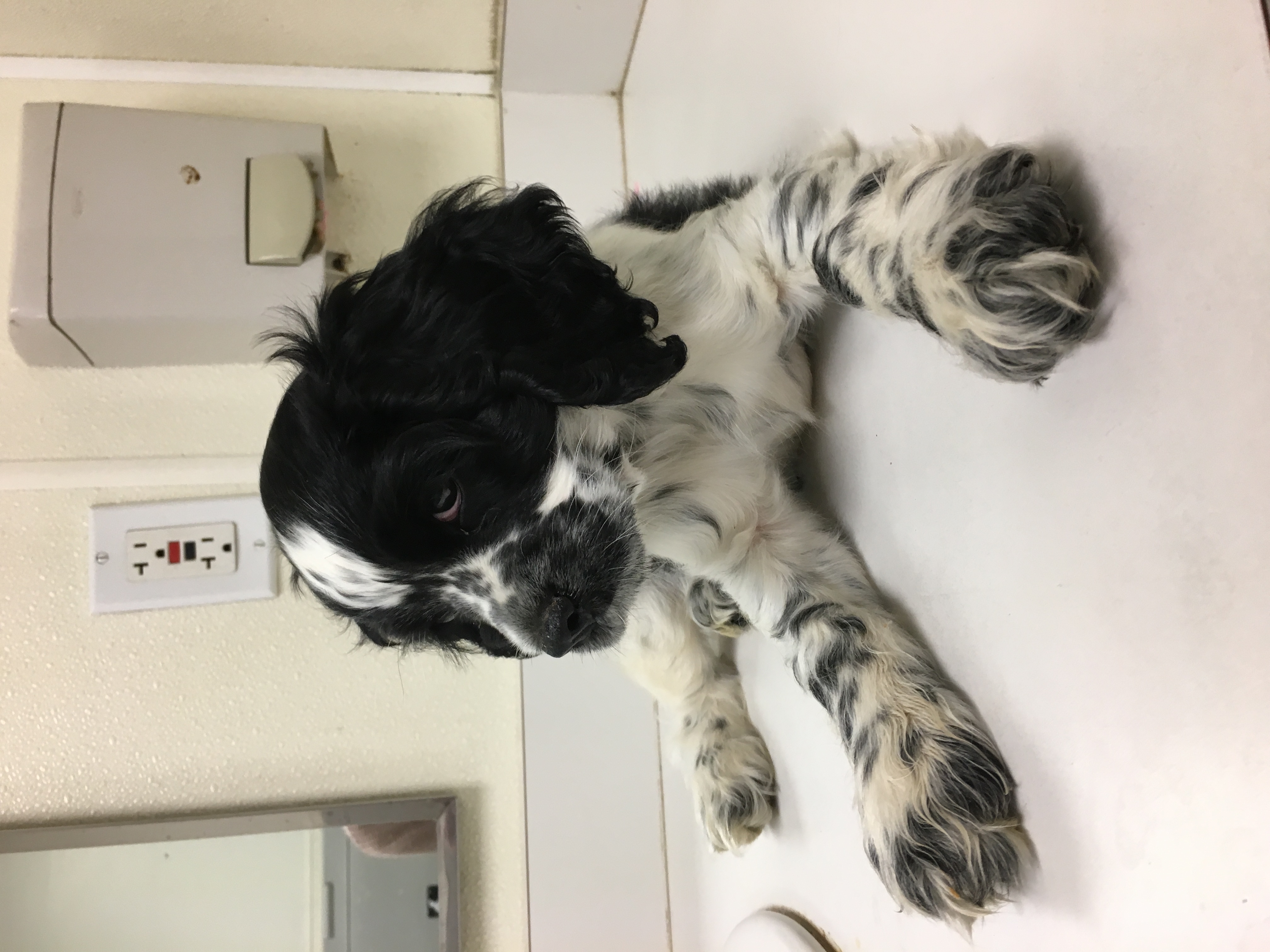 2016-09-24_14-19-45_331.jpeg