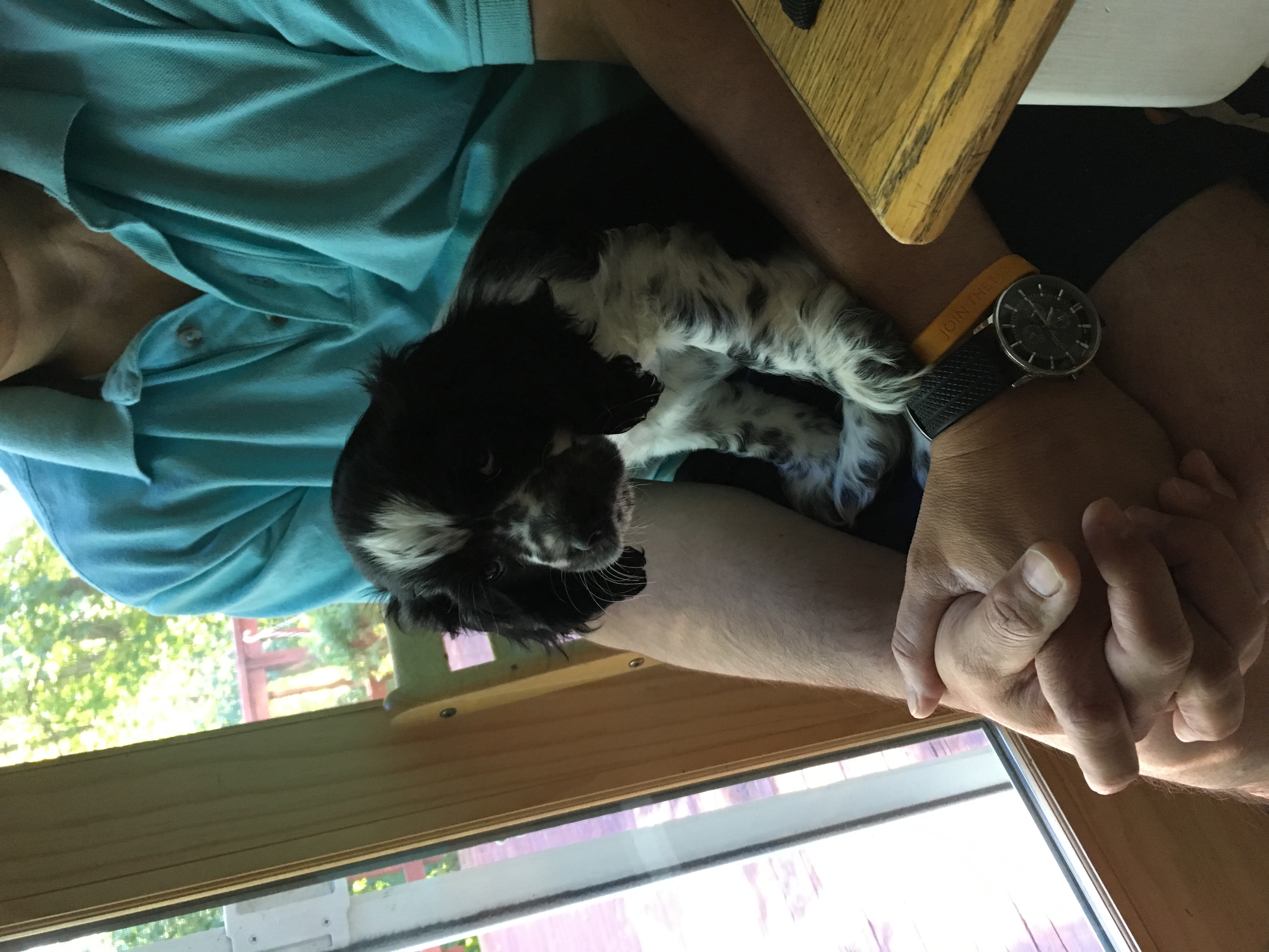 2016-09-25_10-44-23_283.jpeg