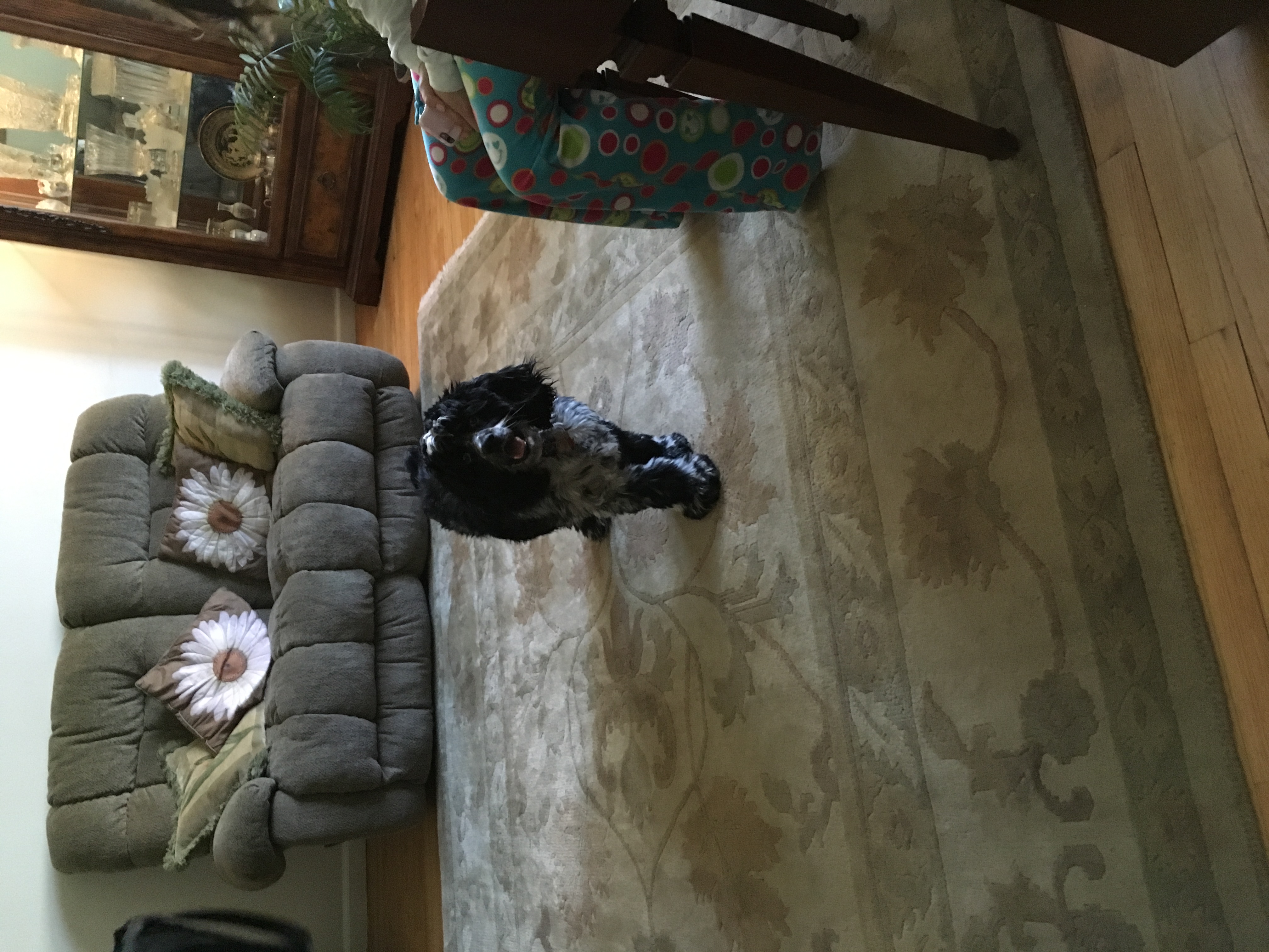 2017-04-08_09-52-27_553.jpeg