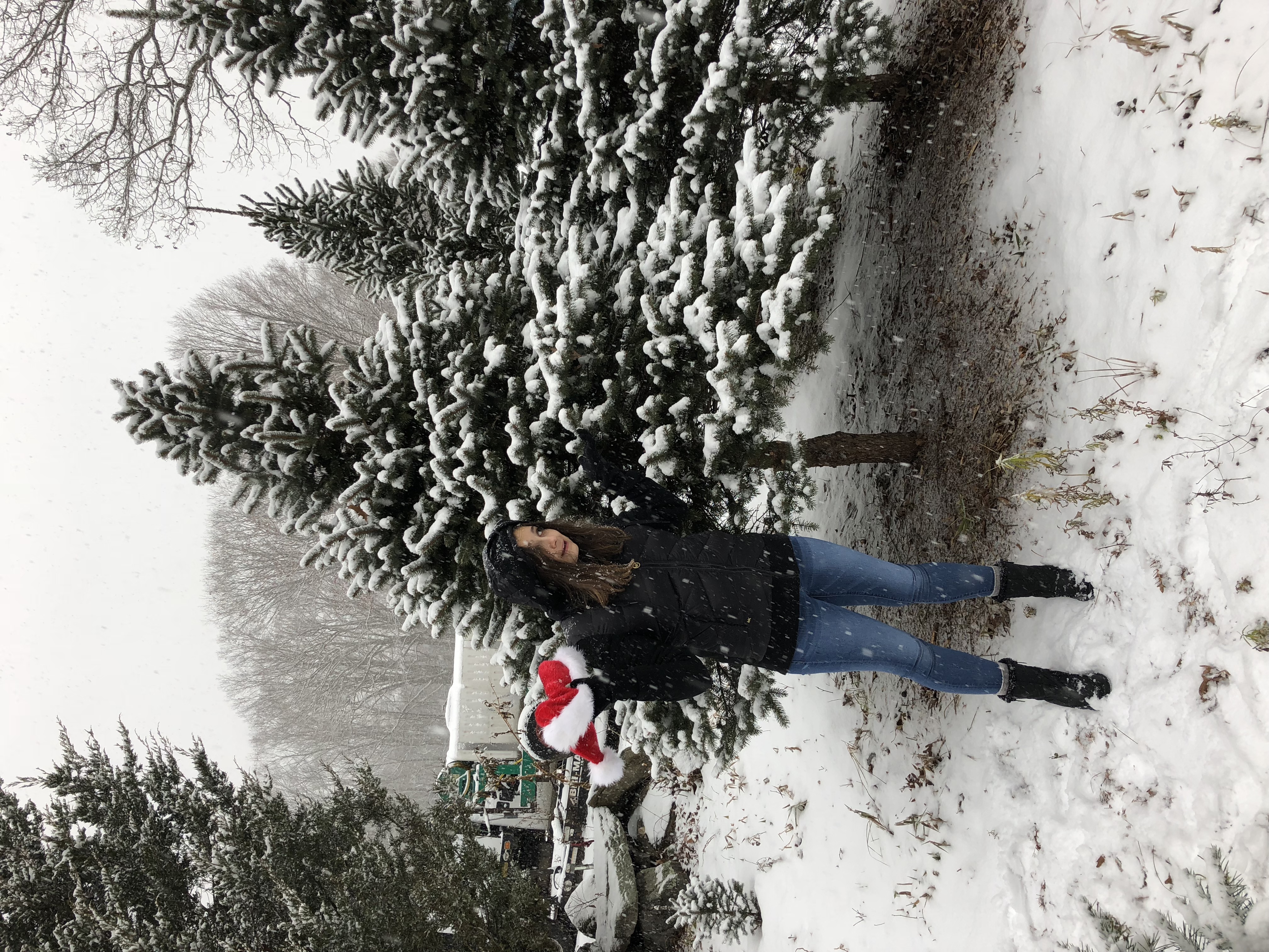 2017-12-09_11-55-01_944.jpeg