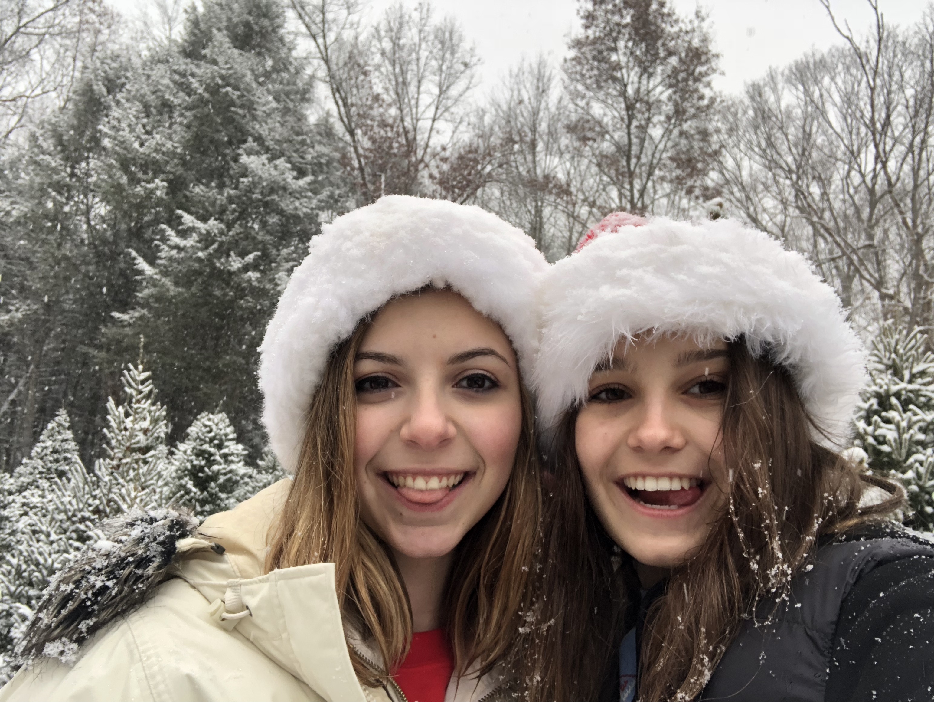 2017-12-09_12-09-46_073.jpeg