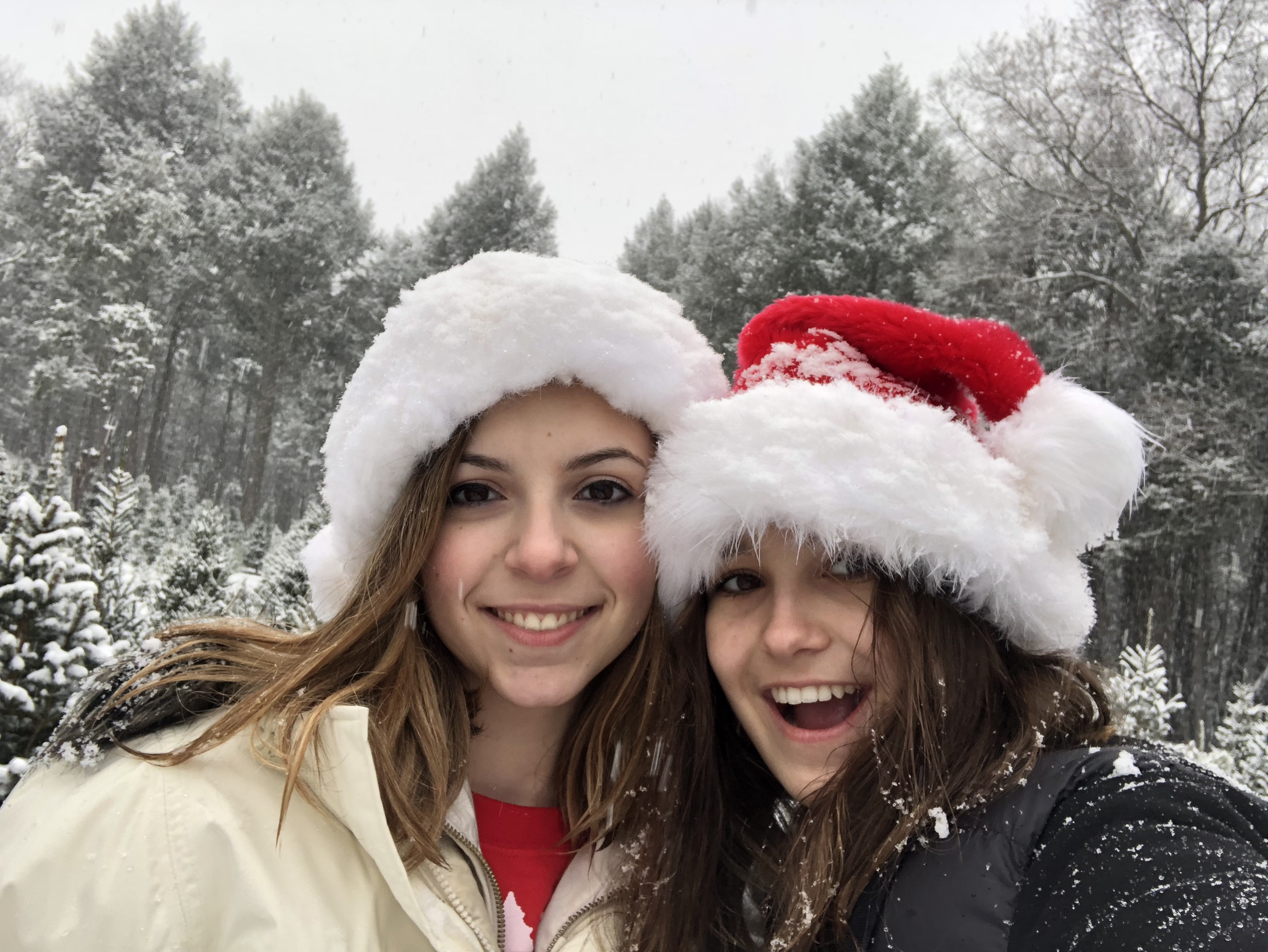 2017-12-09_12-10-02_251.jpeg