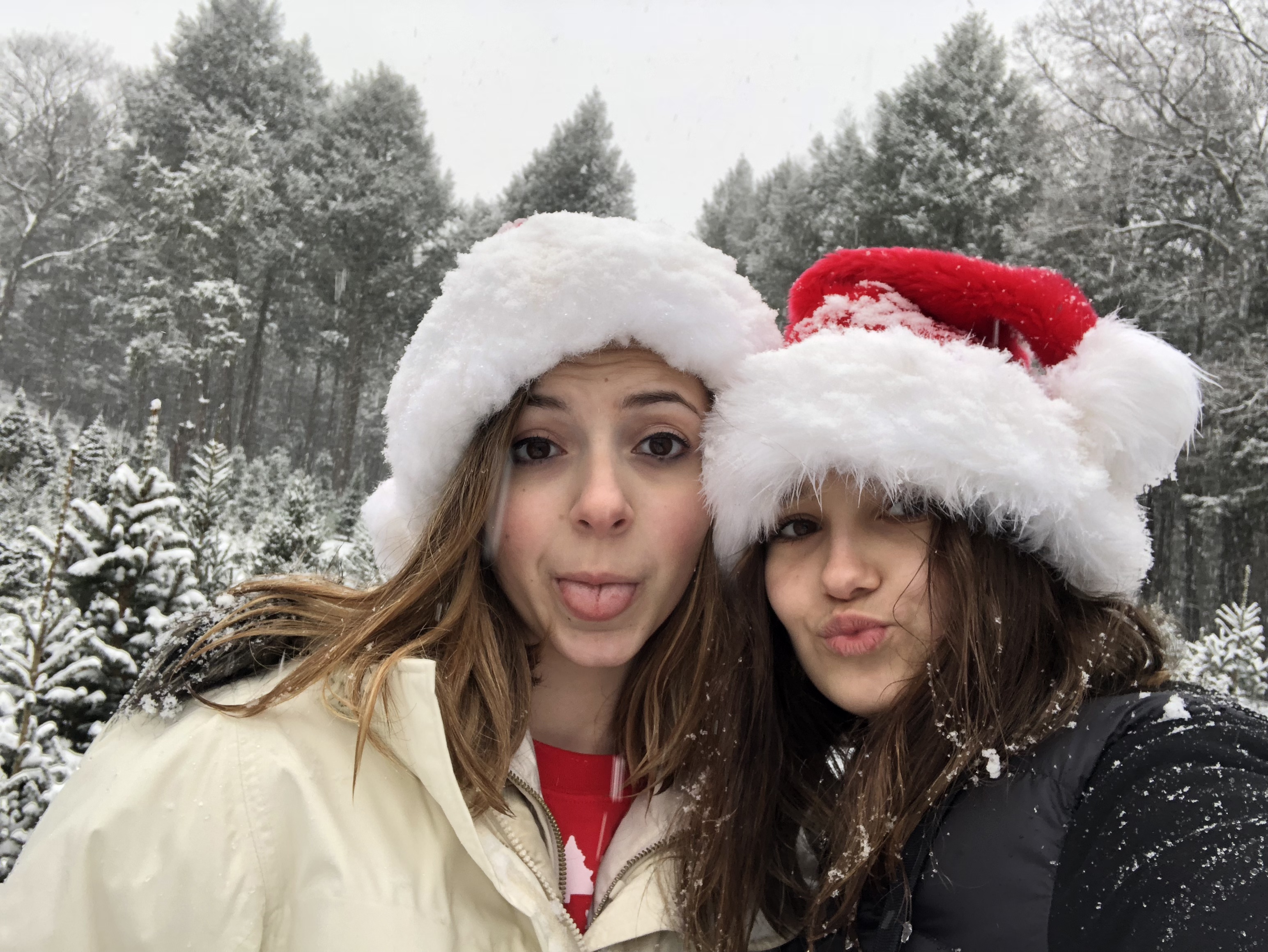 2017-12-09_12-10-04_088.jpeg