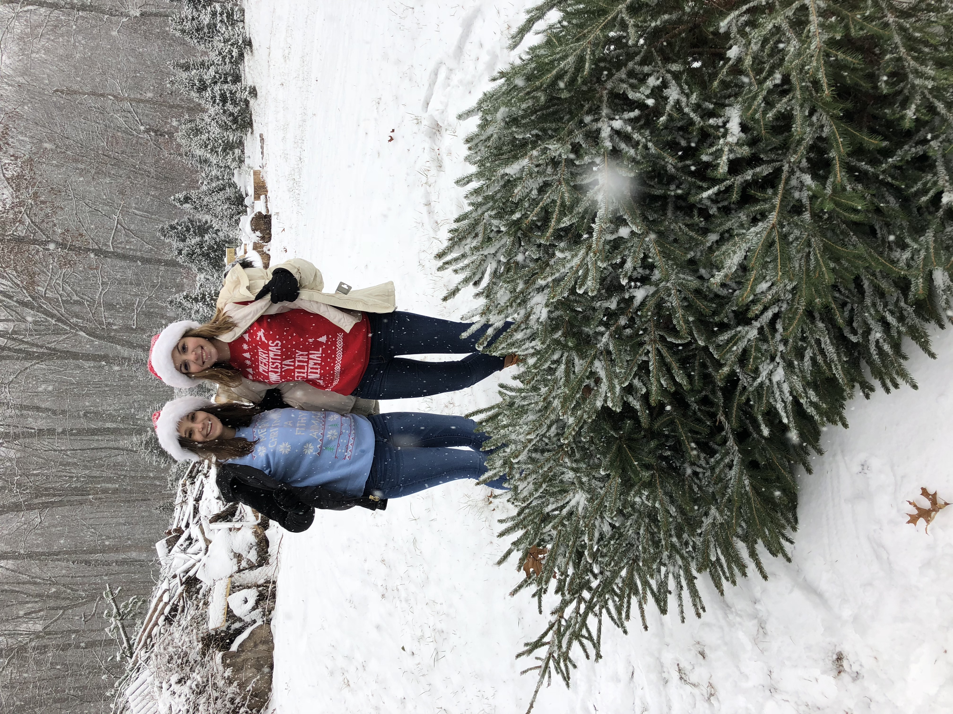 2017-12-09_12-17-37_911.jpeg