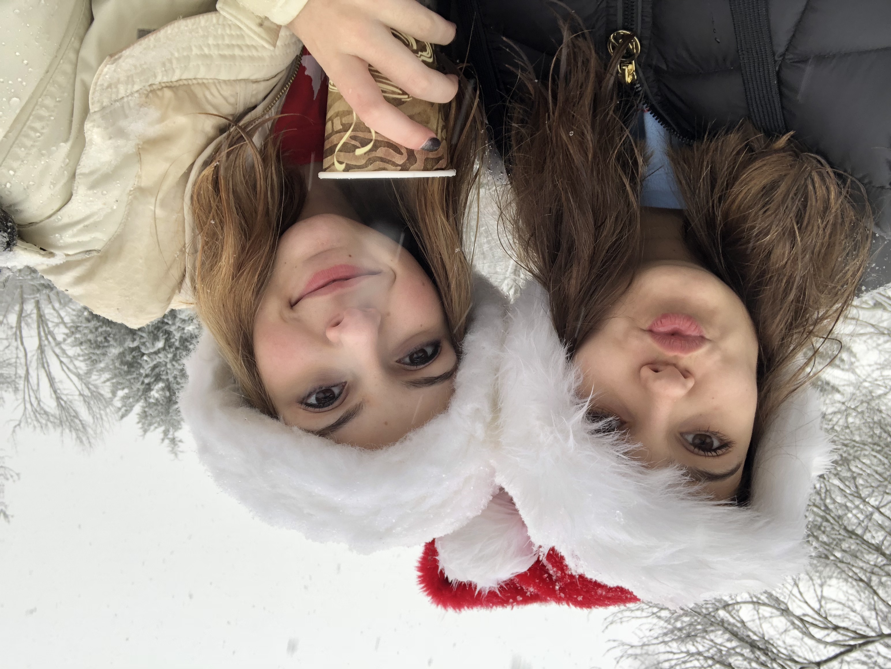 2017-12-09_12-31-59_749.jpeg