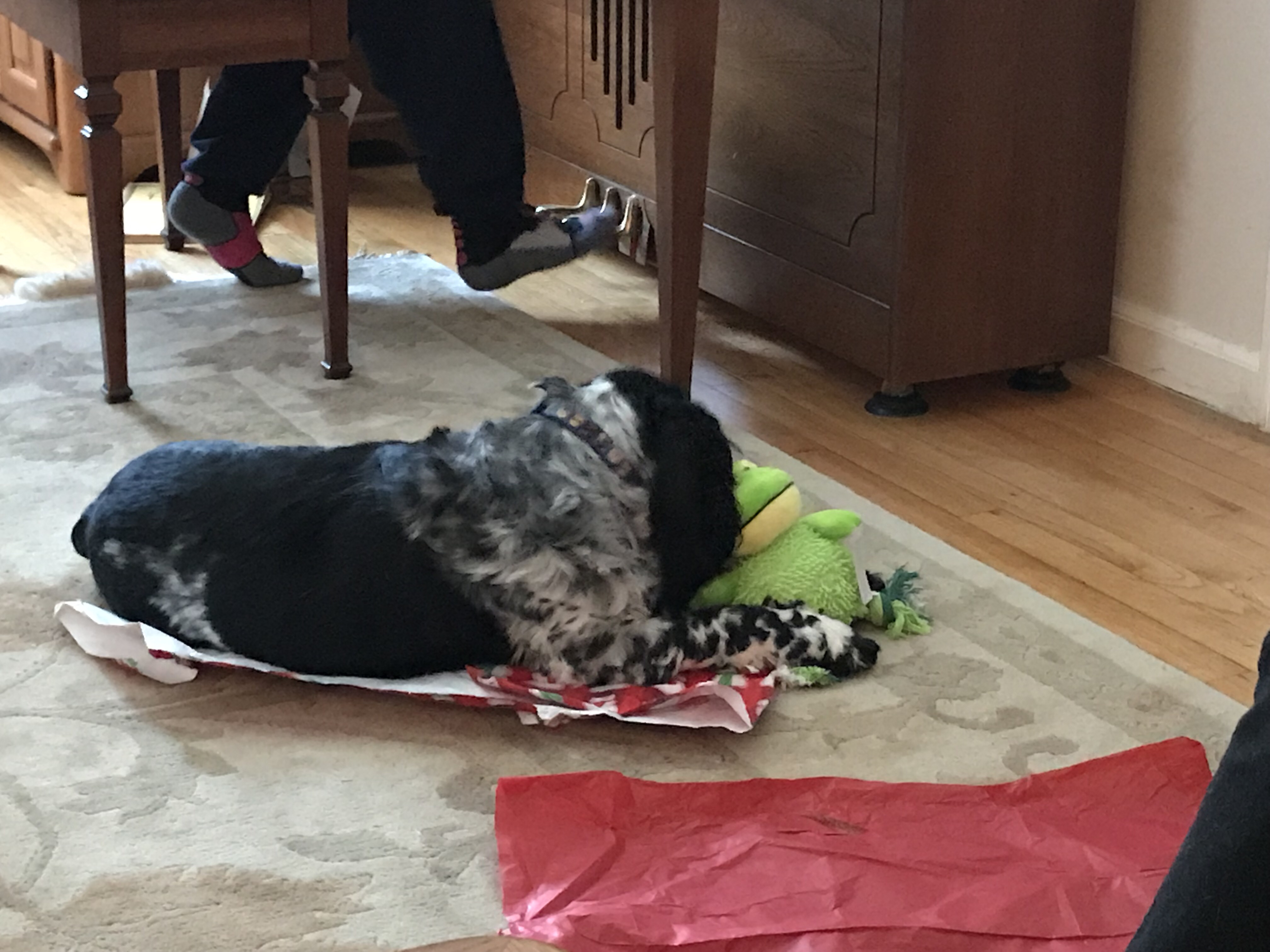 2017-12-25_12-17-43_768.jpeg