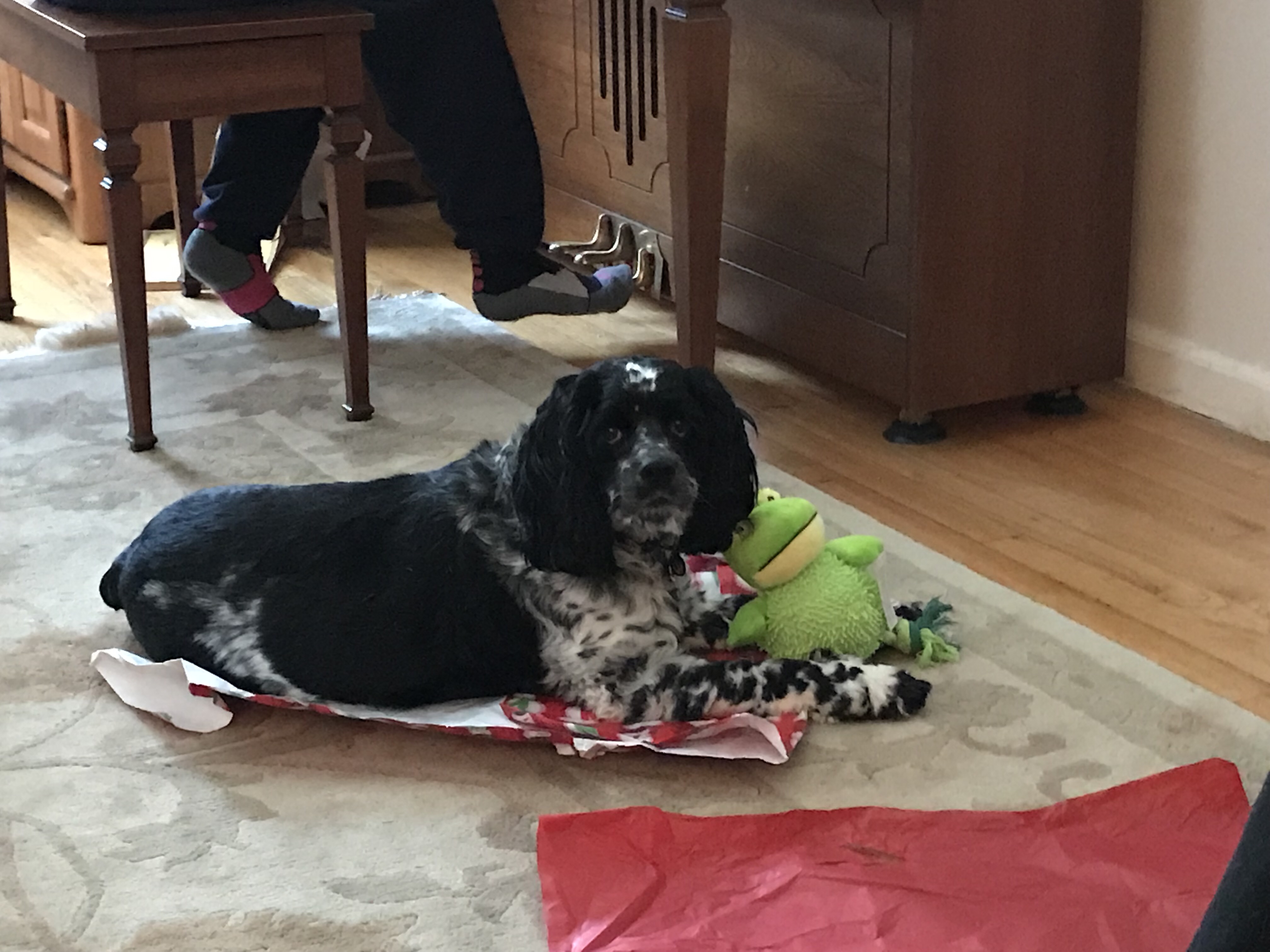 2017-12-25_12-17-50_901.jpeg