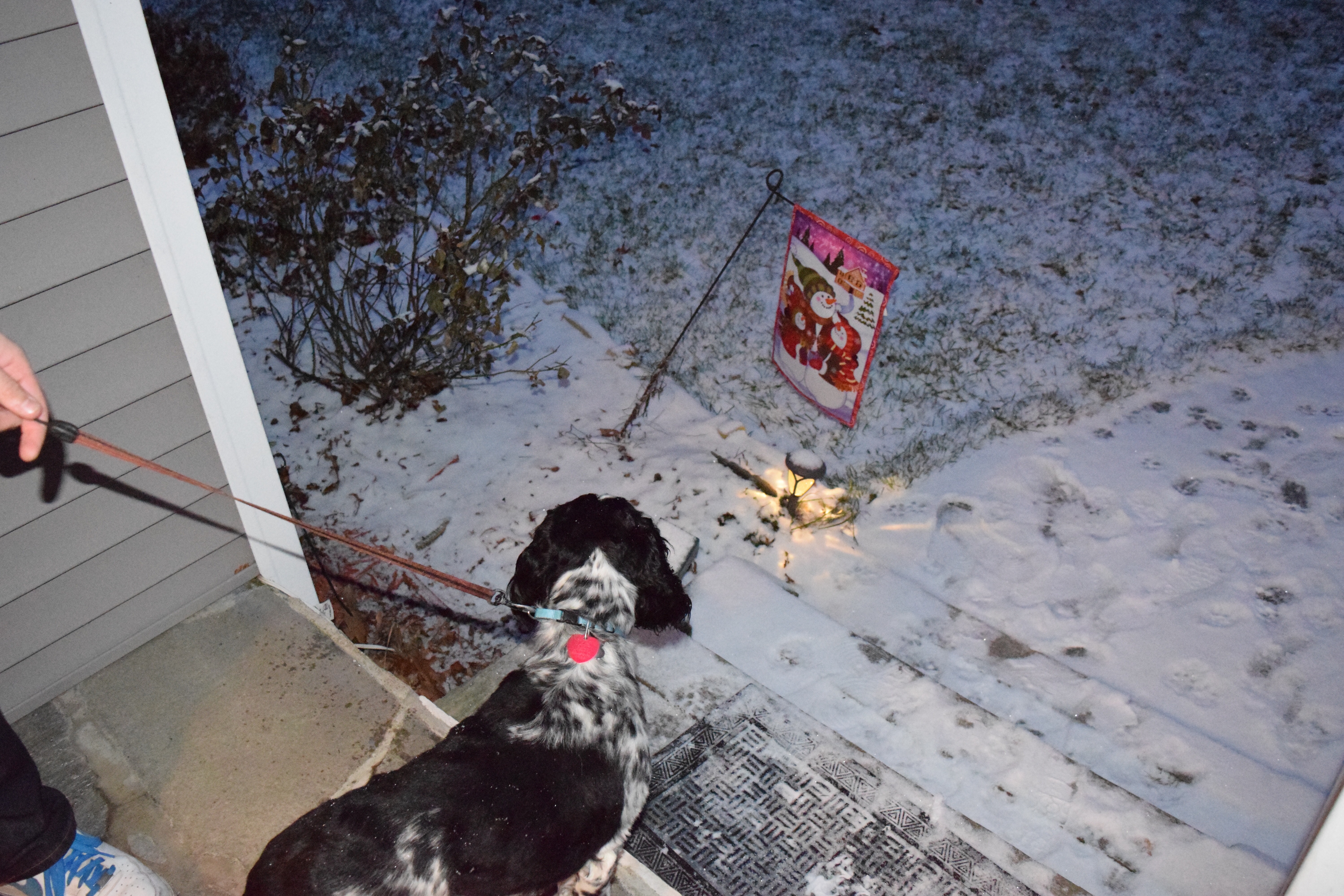 2017-01-31_21-48-23_000.jpeg