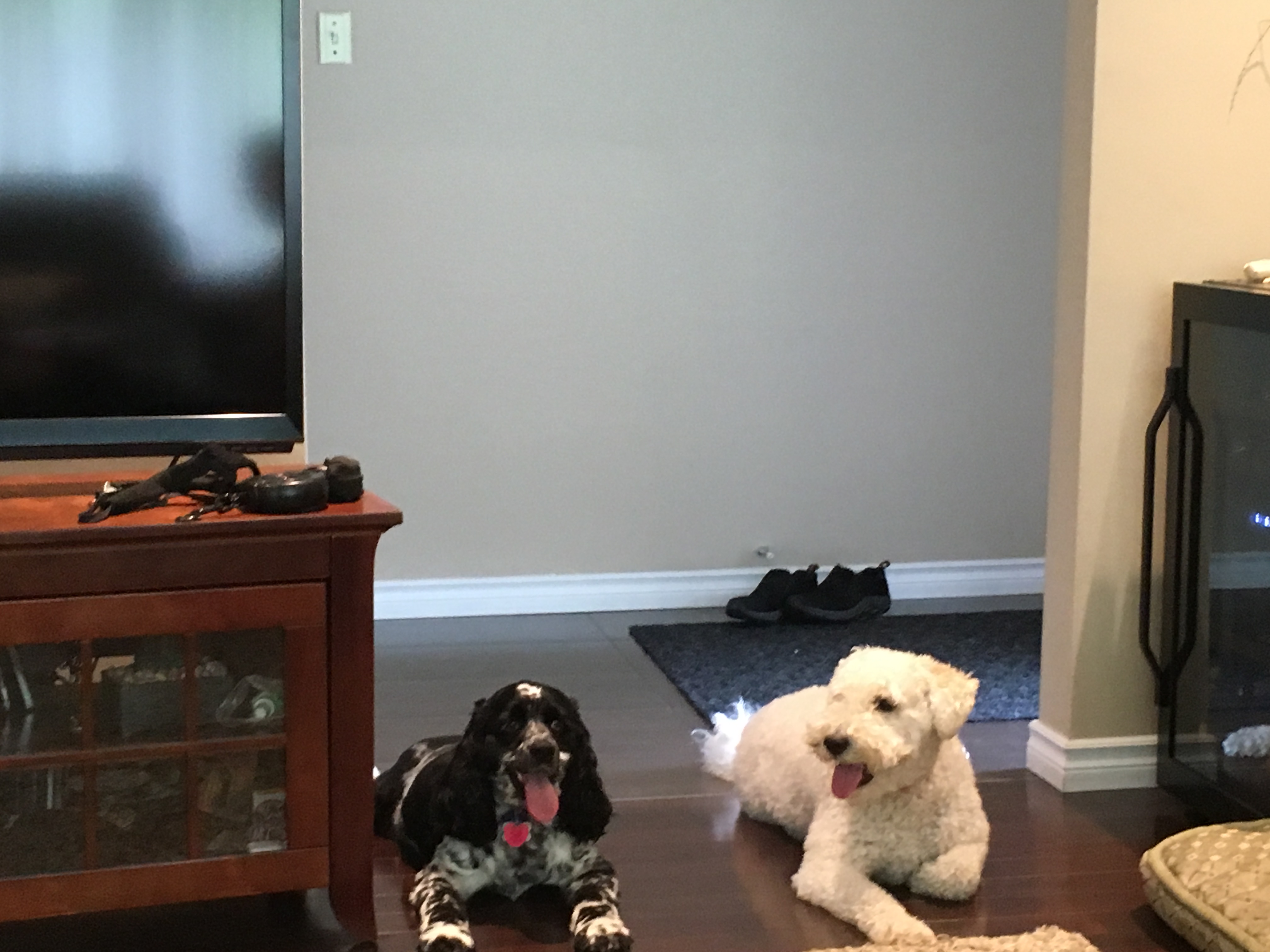 2017-07-20_13-11-06_499.jpeg