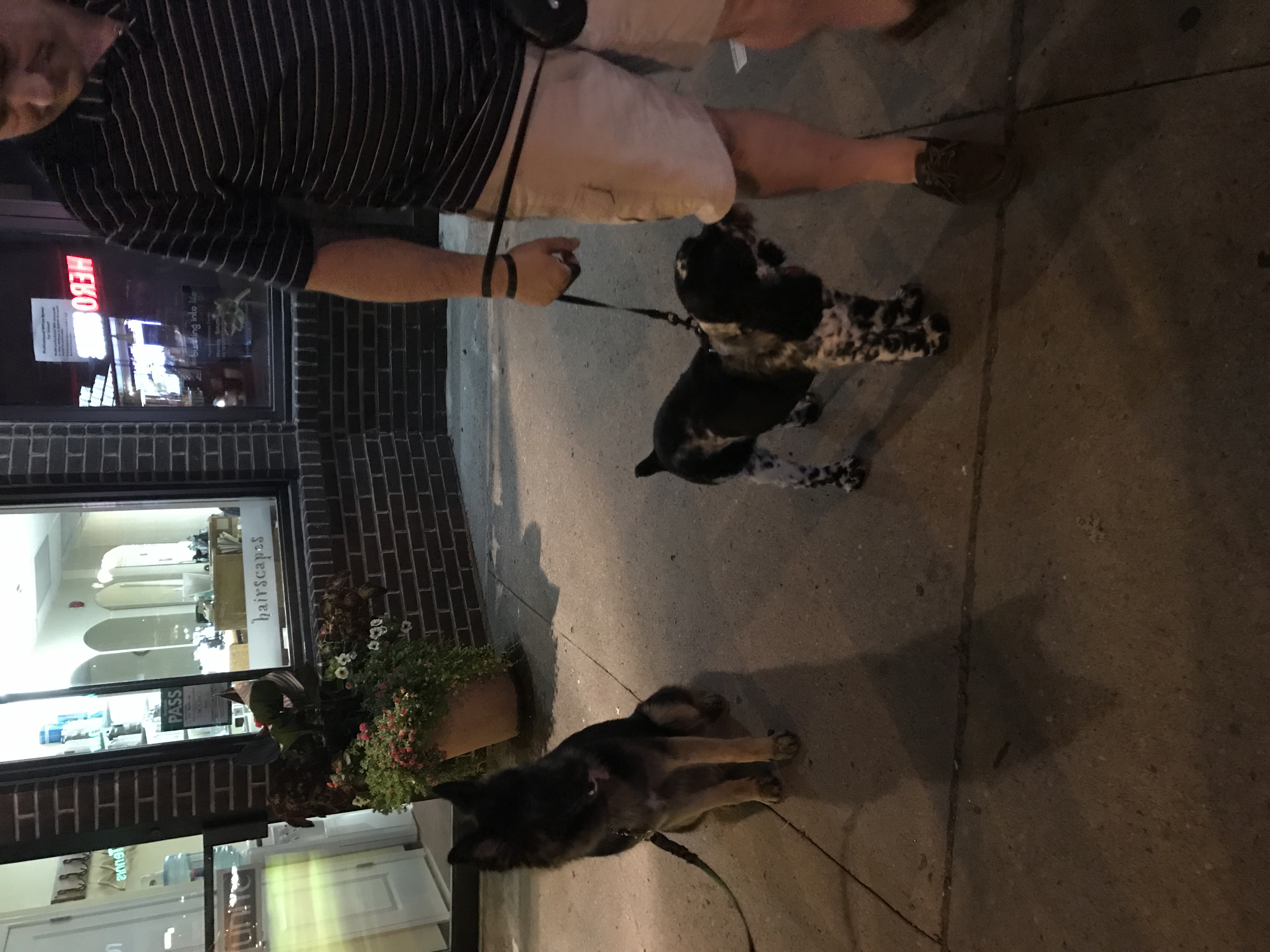 2017-07-21_21-52-20_019.jpeg