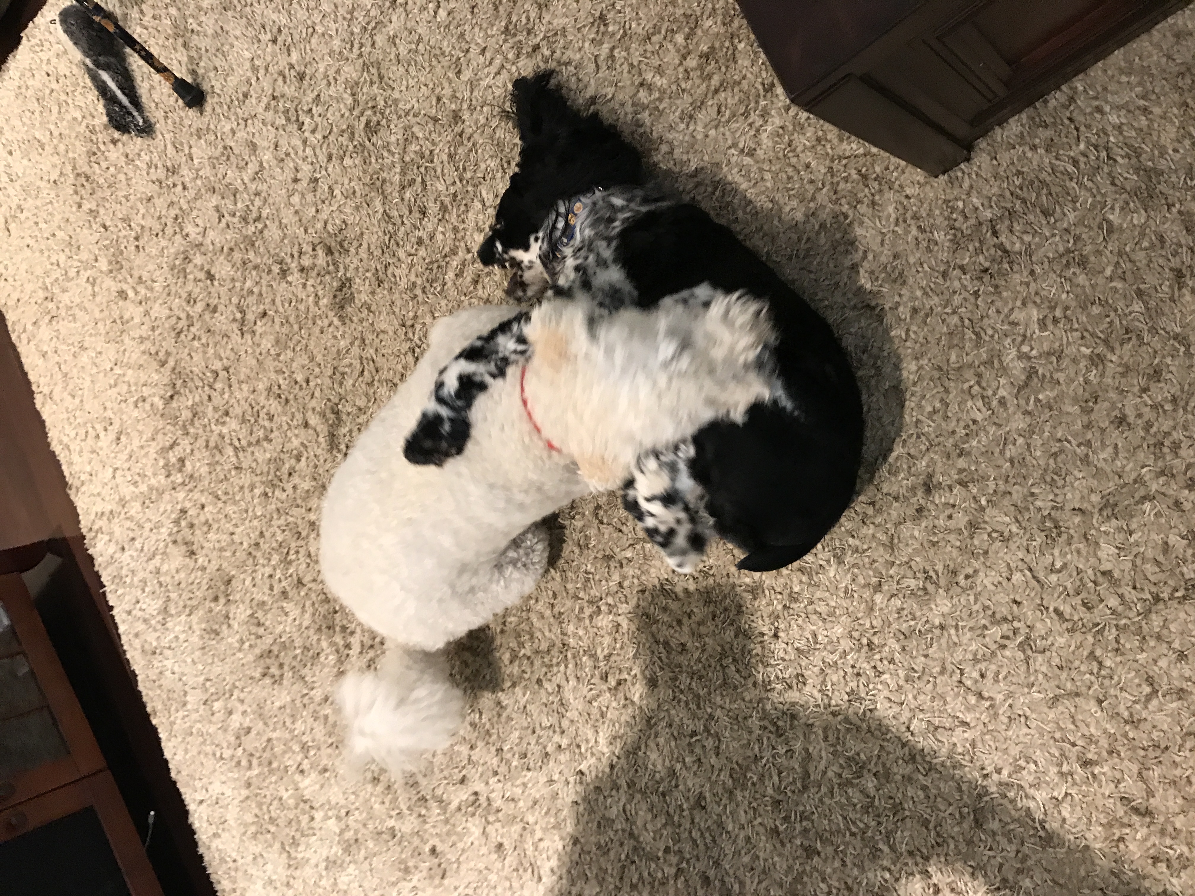 2017-07-22_09-53-54_160.jpeg
