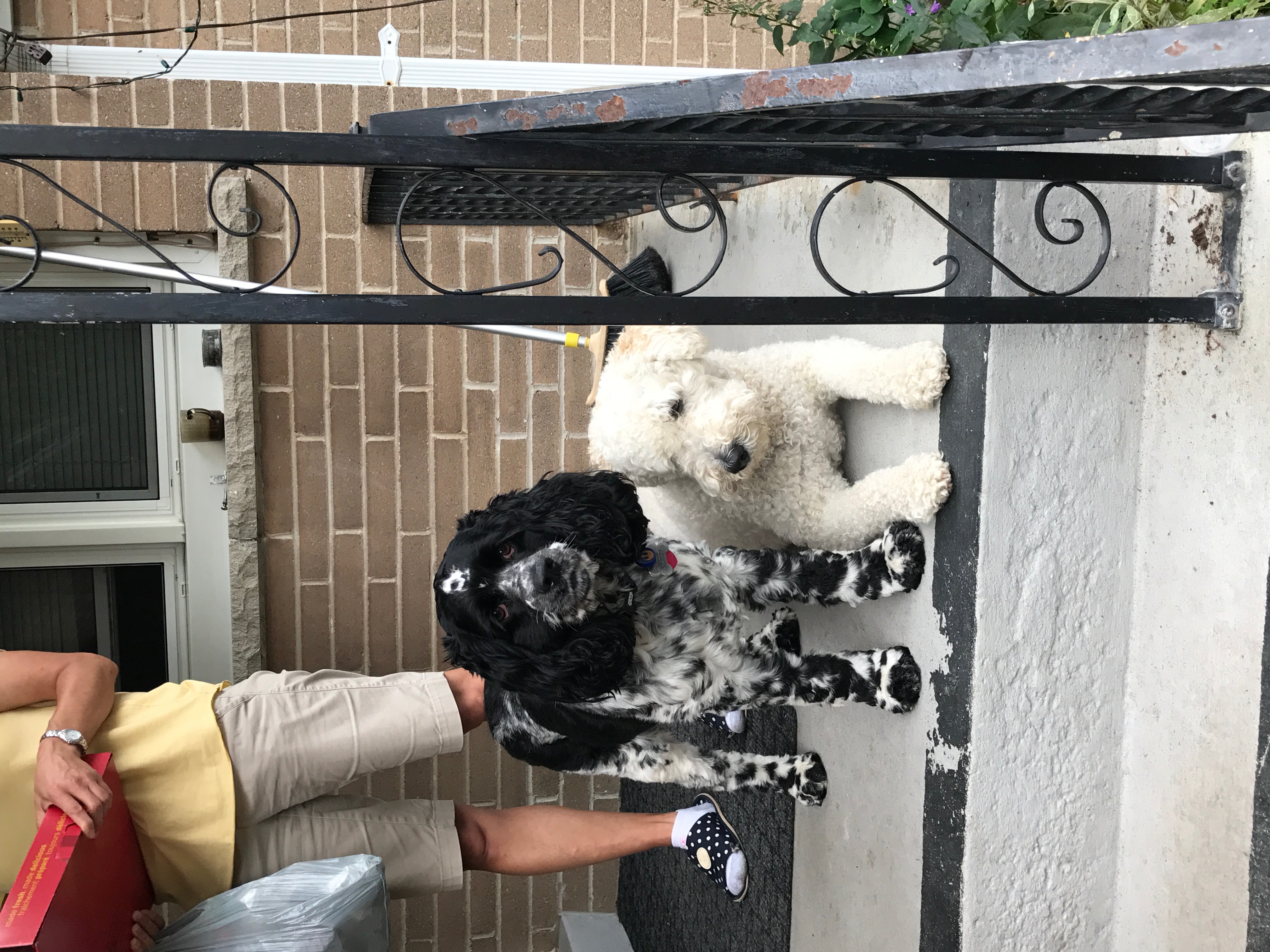 2017-07-23_10-21-06_703.jpeg