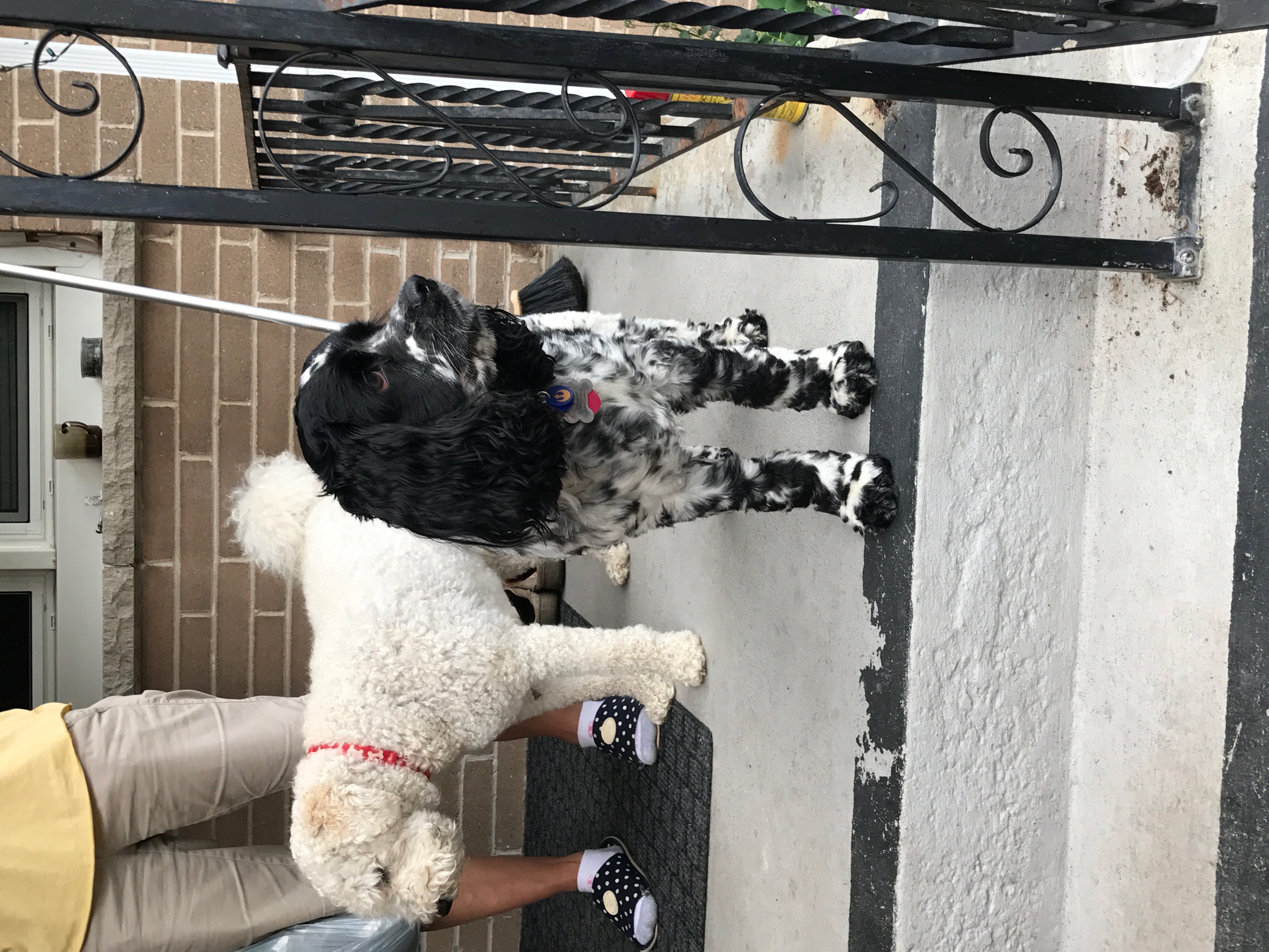 2017-07-23_10-21-30_325.jpeg
