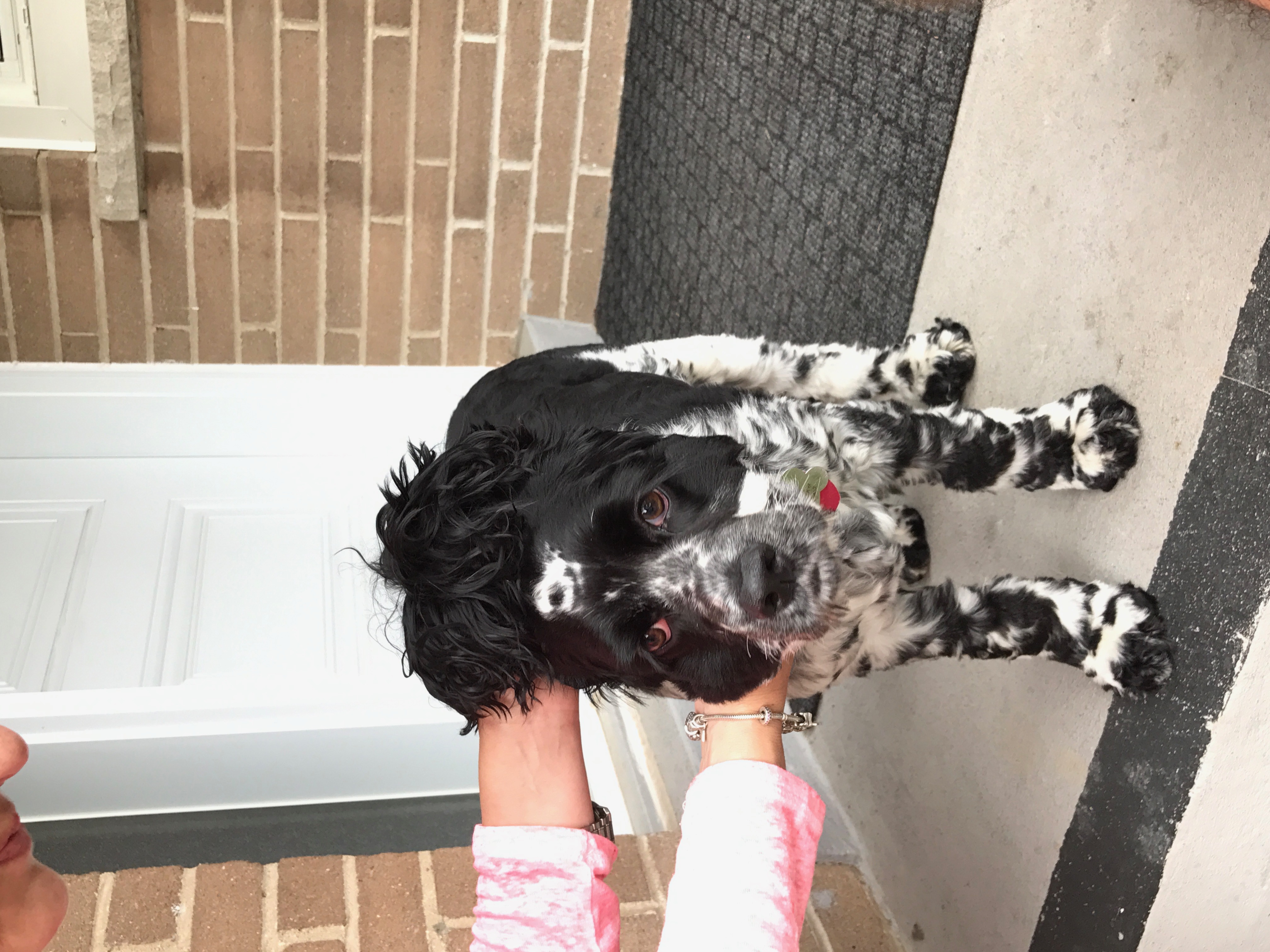 2017-07-23_10-25-25_199.jpeg
