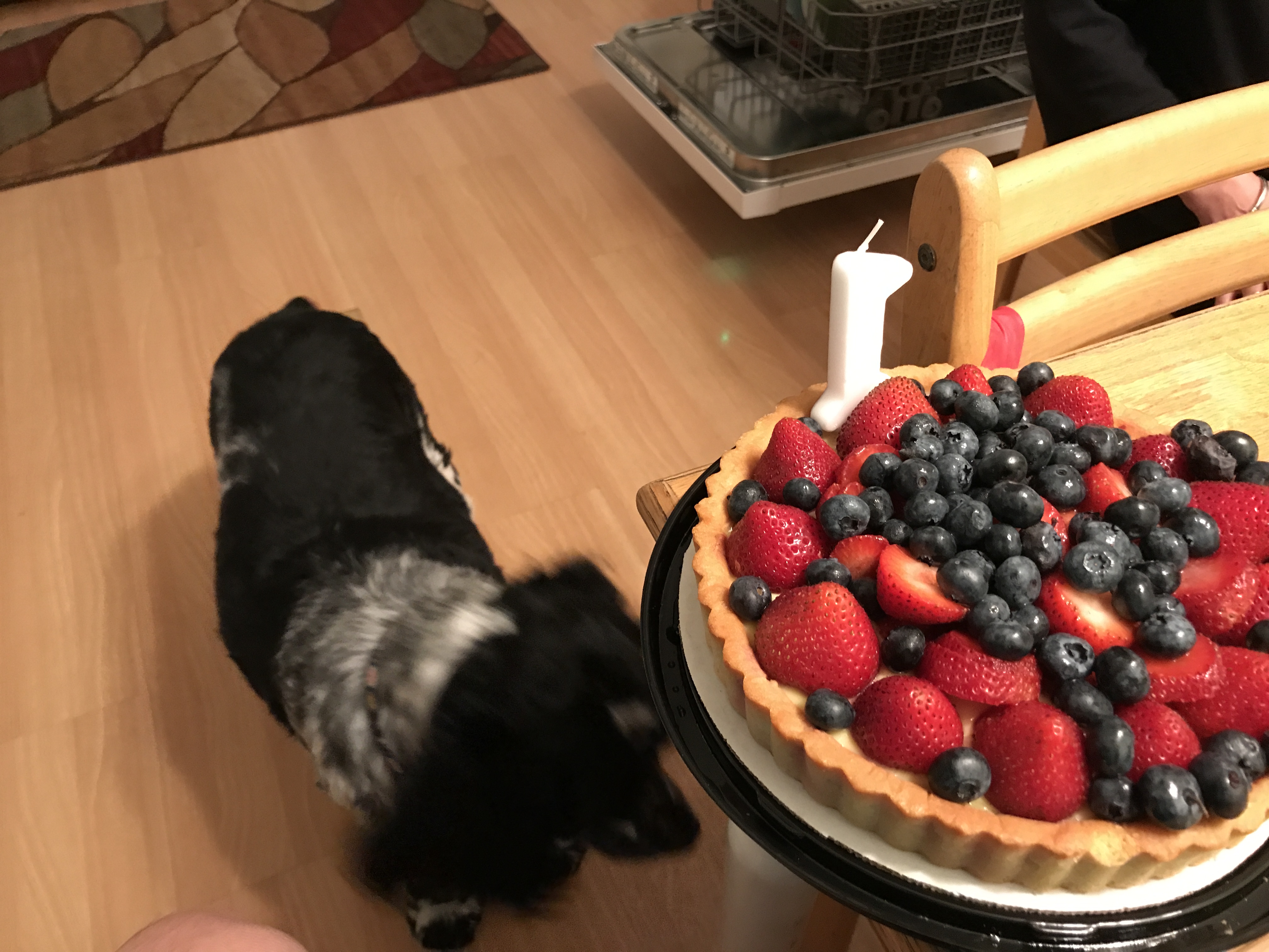 2017-07-24_21-10-42_670.jpeg