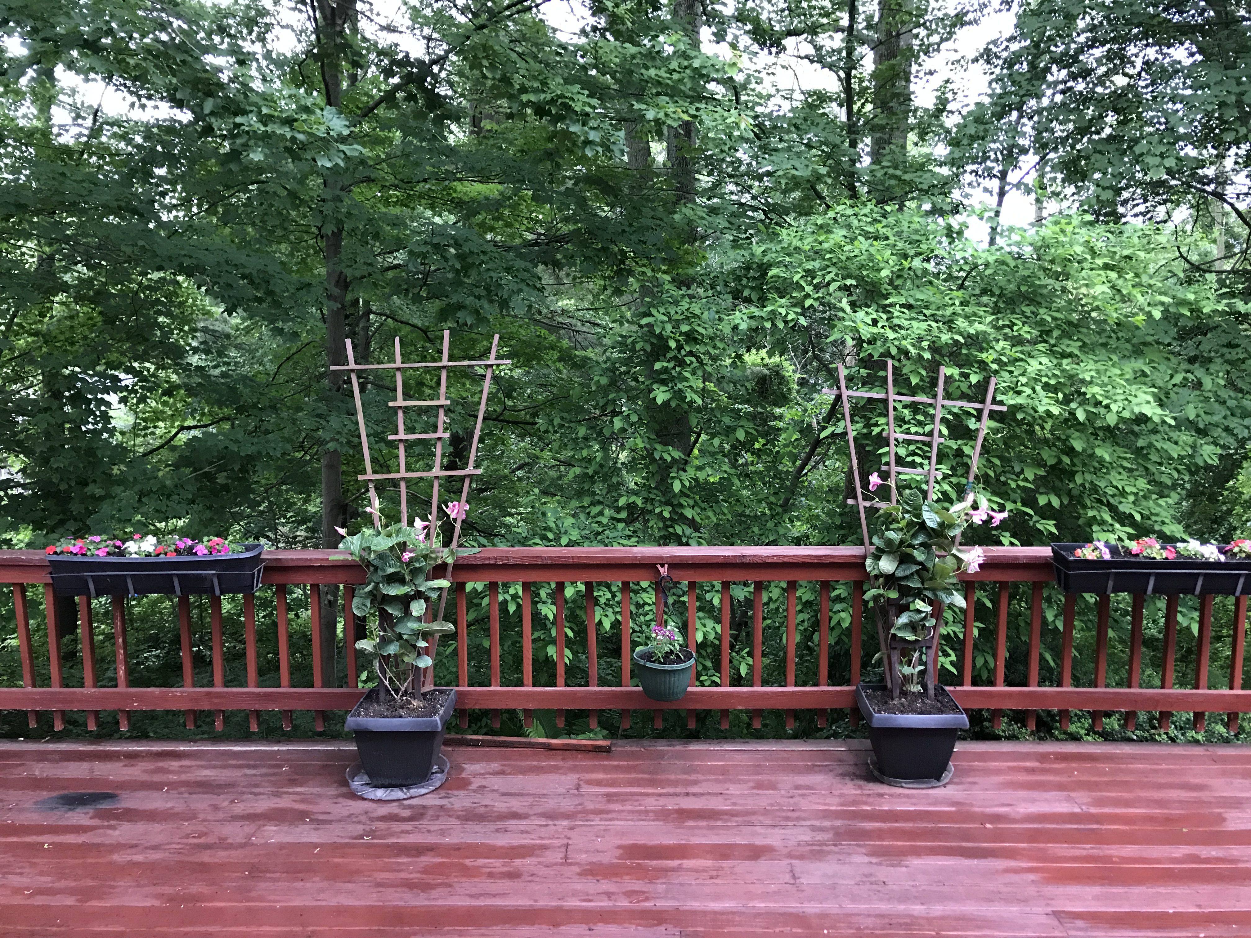 2017-06-06_07-27-00_605.jpeg