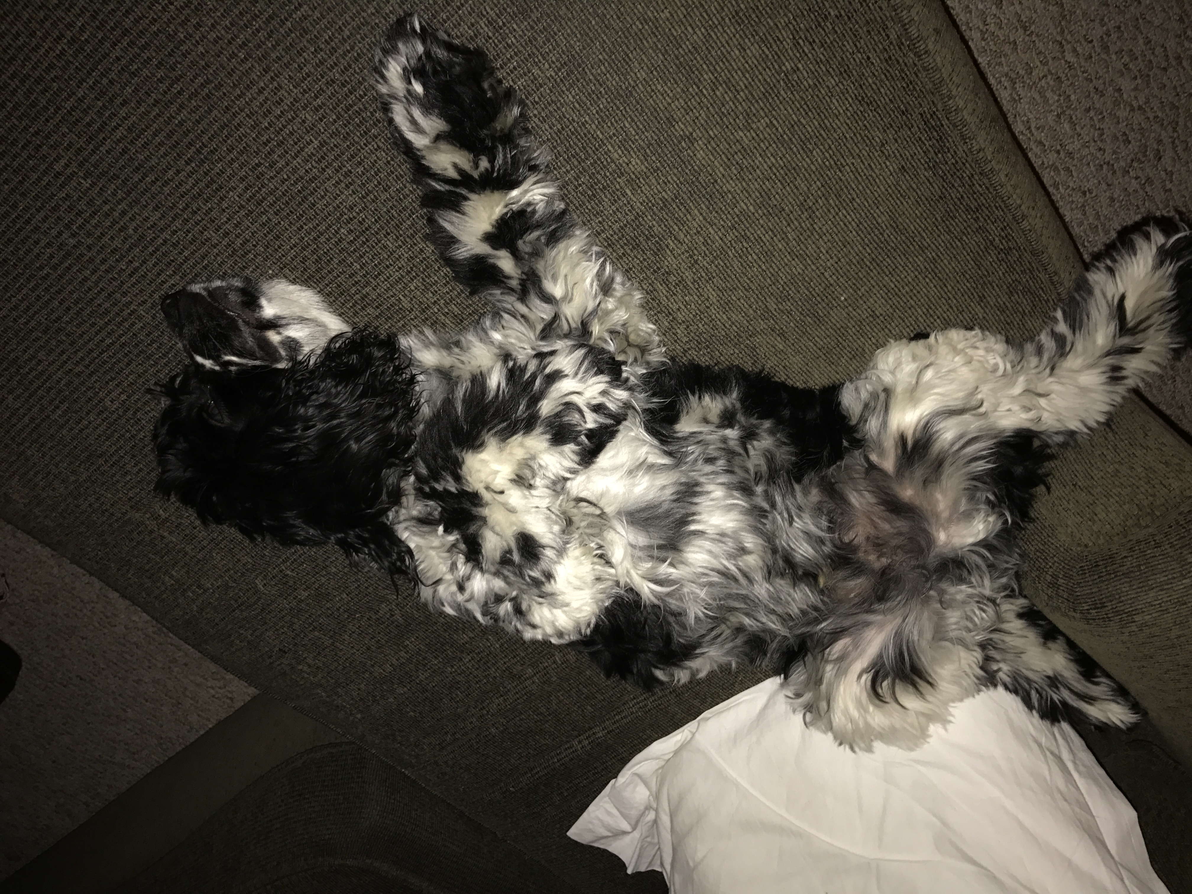 2017-03-08_00-01-18_272.jpeg