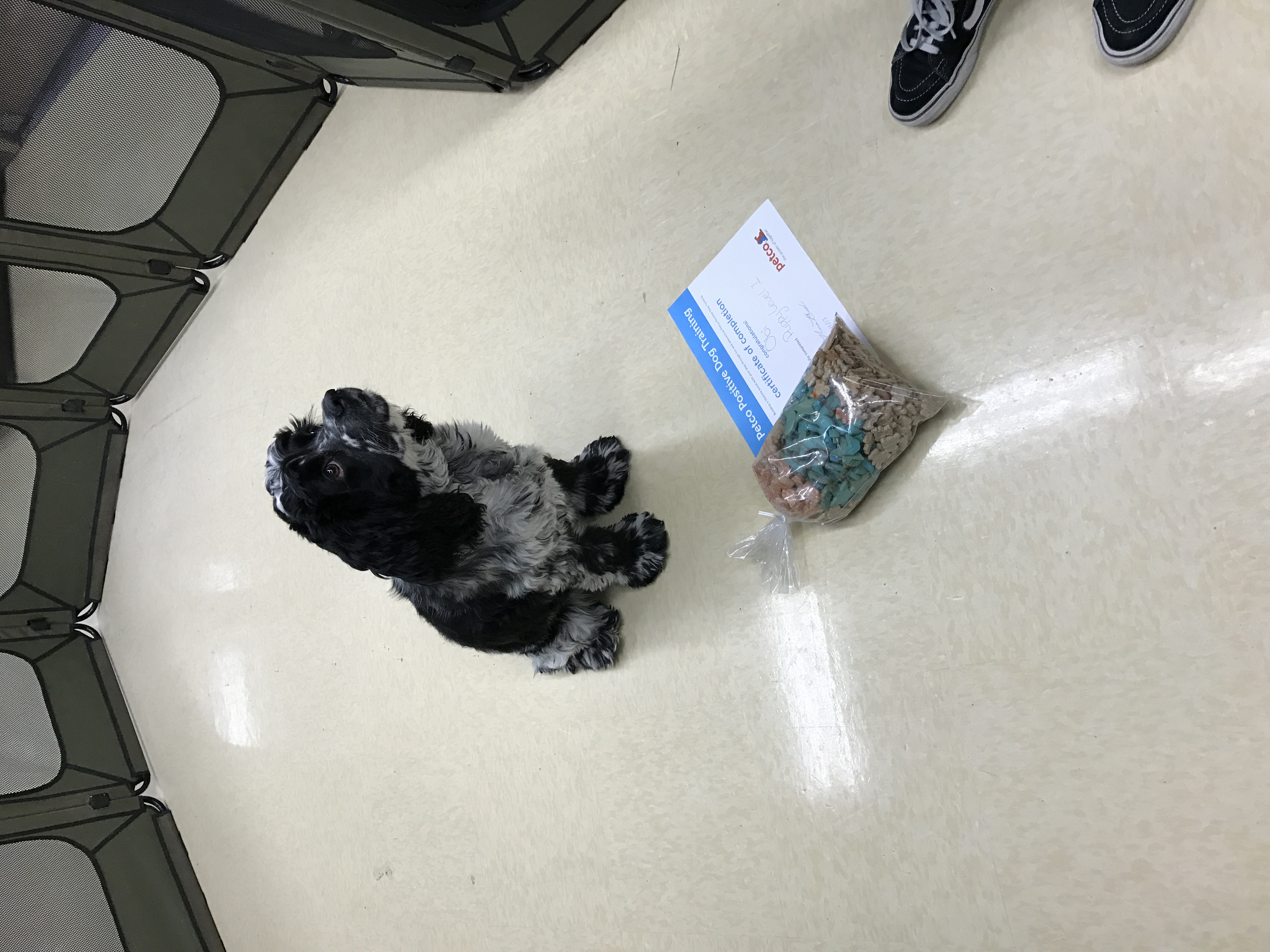 2017-03-11_11-43-17_157.jpeg