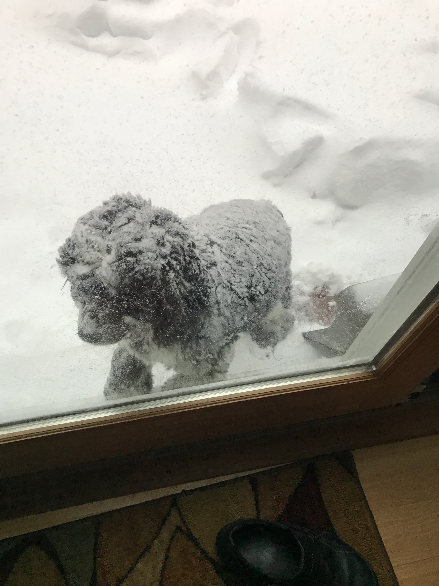 2017-03-14_09-20-43_000.jpeg