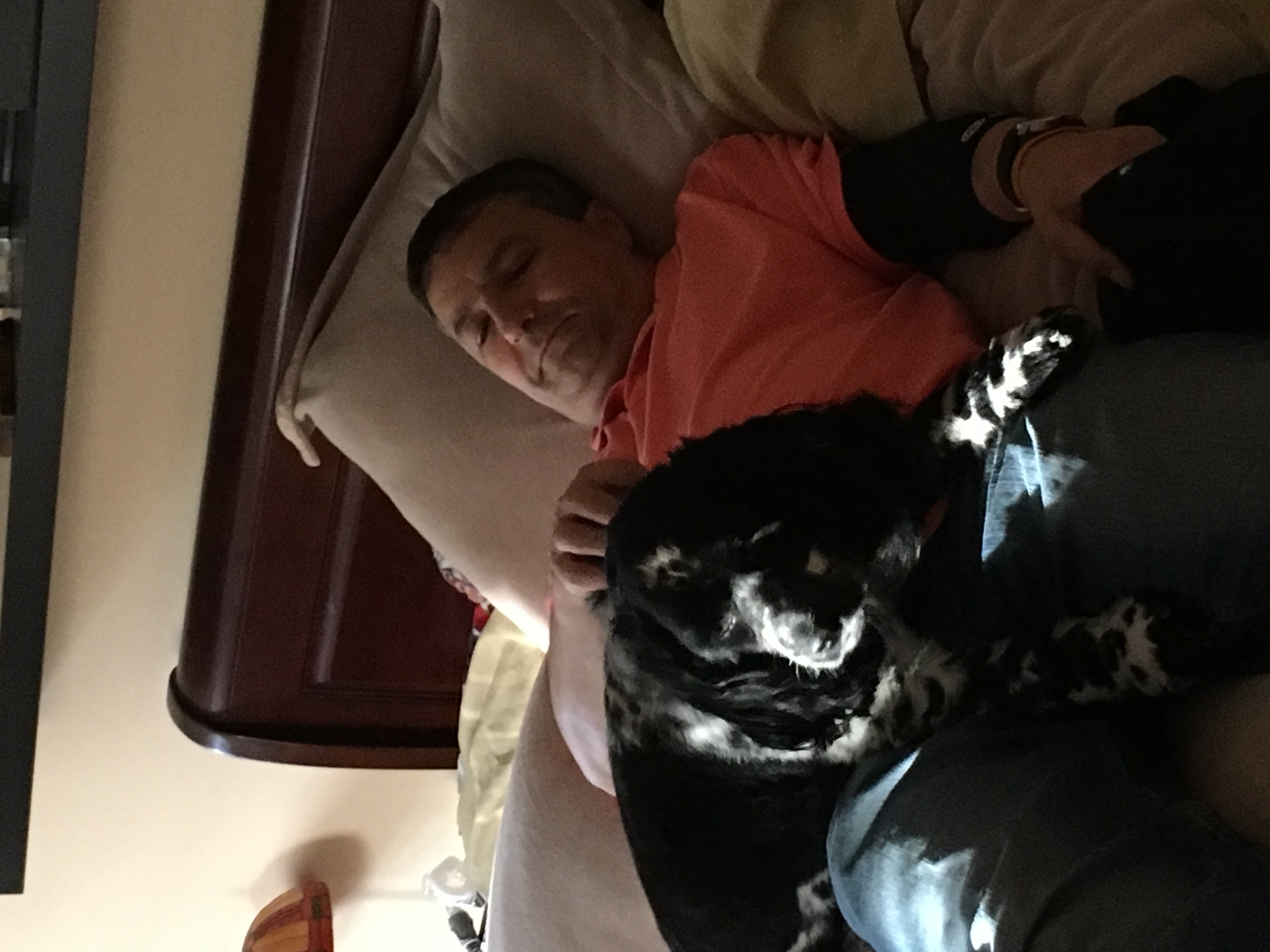 2017-05-10_18-26-09_117.jpeg