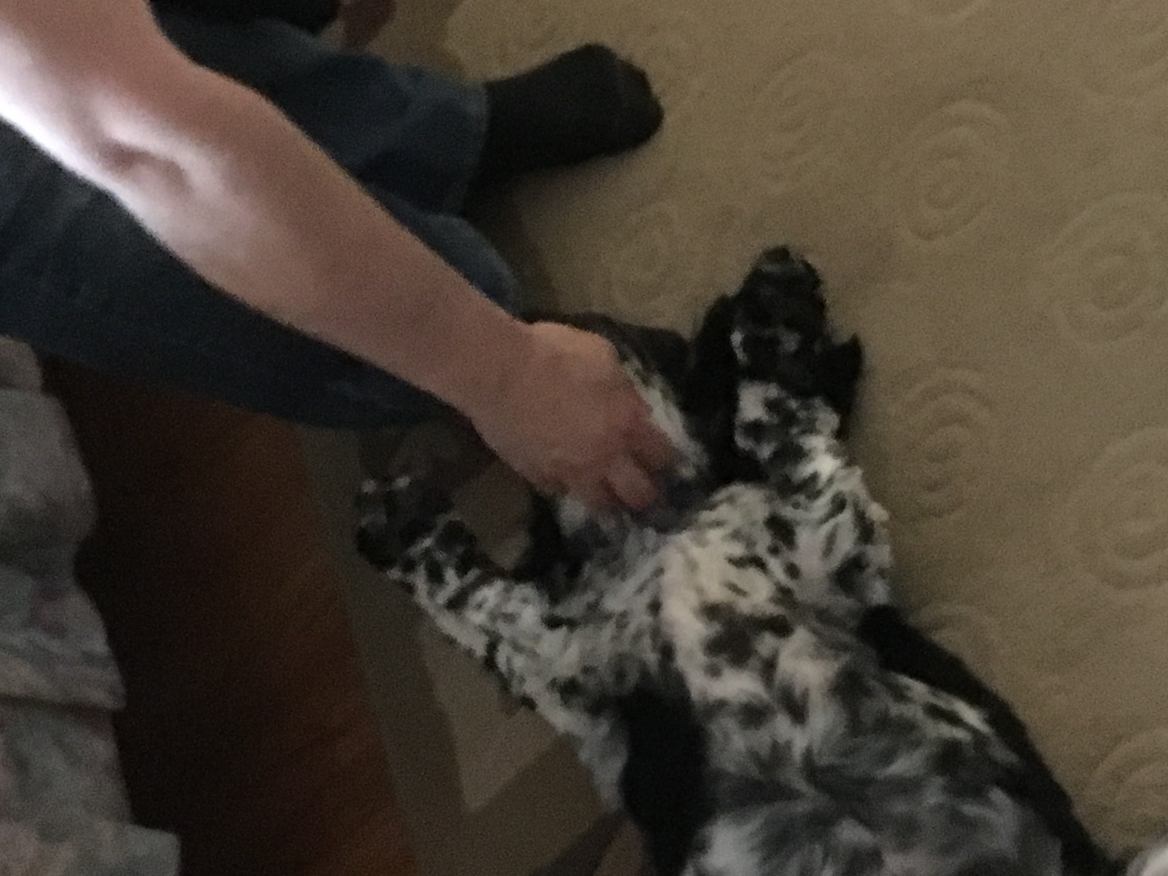2017-05-10_18-27-09_981.jpeg