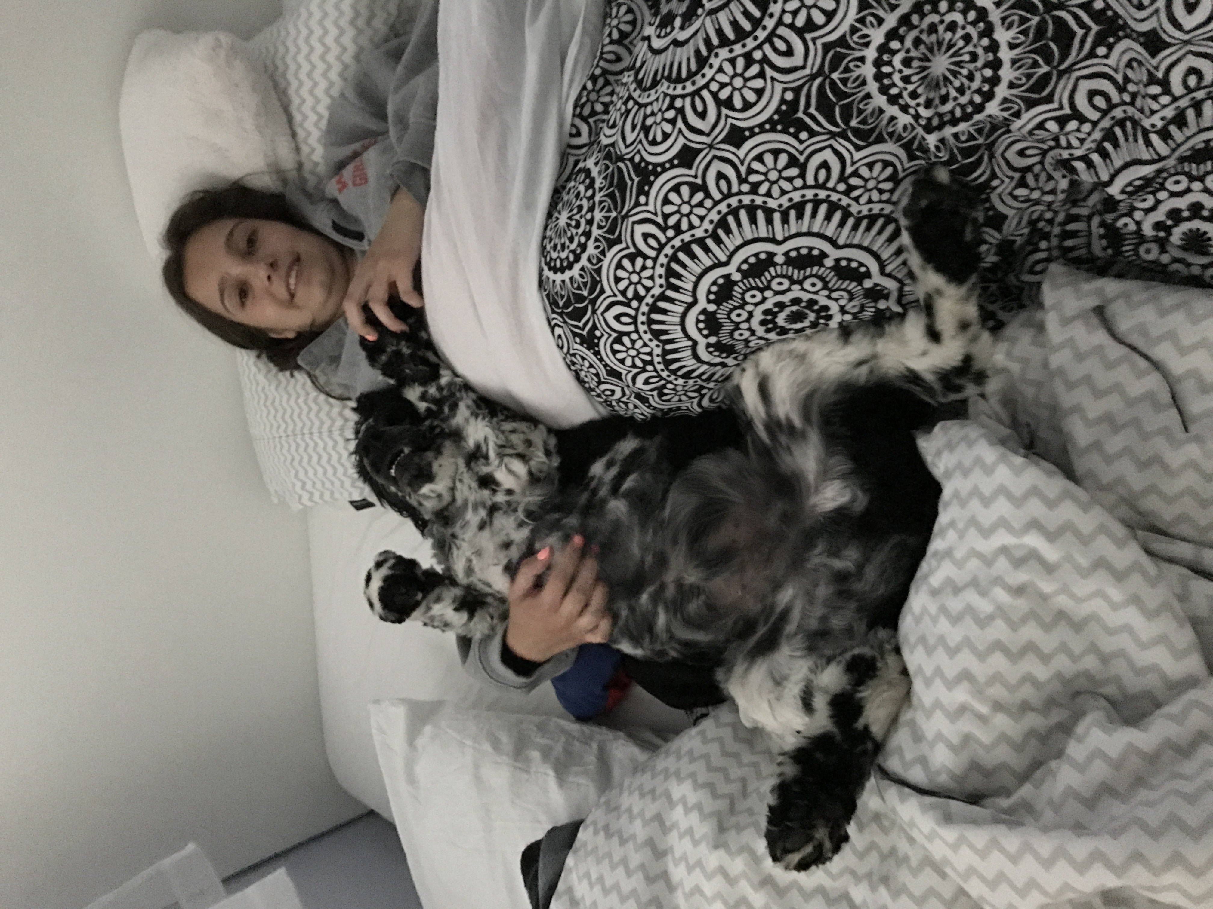 2017-05-13_14-10-47_917.jpeg